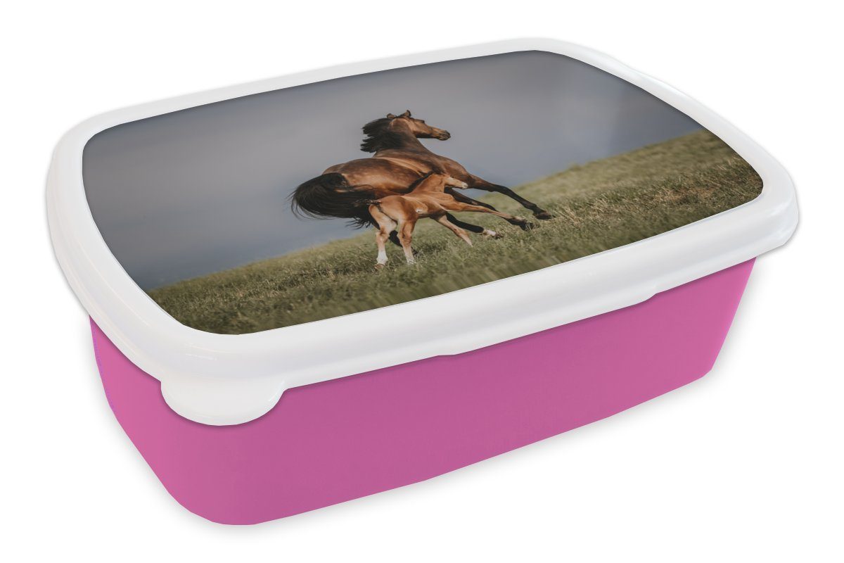 MuchoWow Lunchbox Tiere - Pferde - Fohlen, Kunststoff, (2-tlg), Brotbox für Erwachsene, Brotdose Kinder, Snackbox, Mädchen, Kunststoff rosa