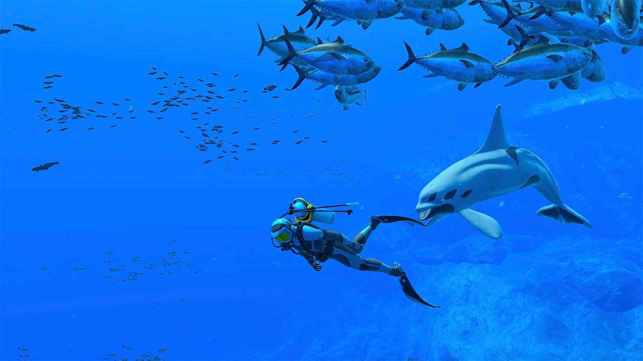 Endless Ocean Luminous Nintendo Switch