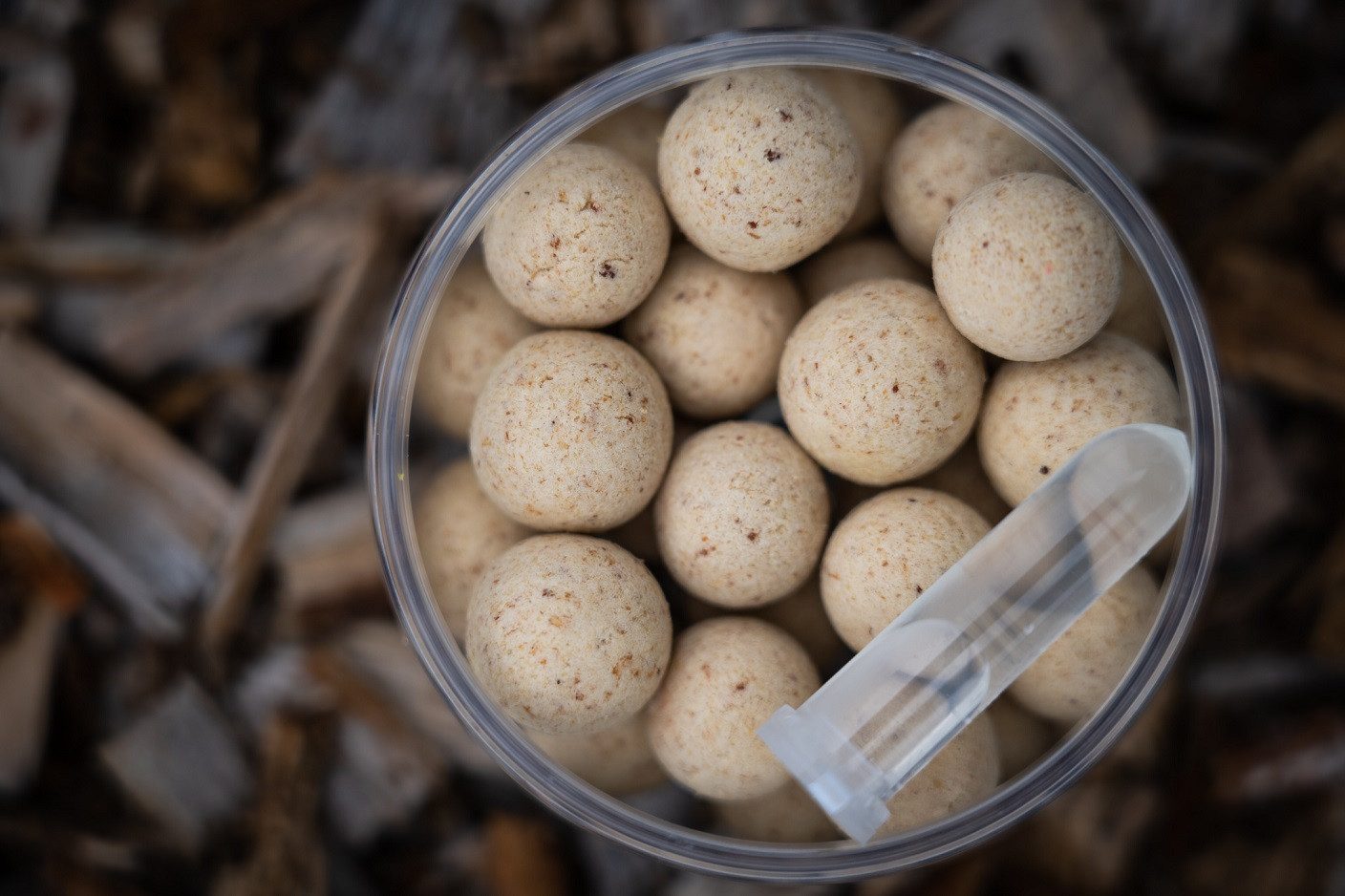 P.R. Baits Kunstköder Ocean Fish Special Edition Pop Ups 14-16mm +Liquid Karpfenangeln, Ocean Fish – Special Edition Pop Ups