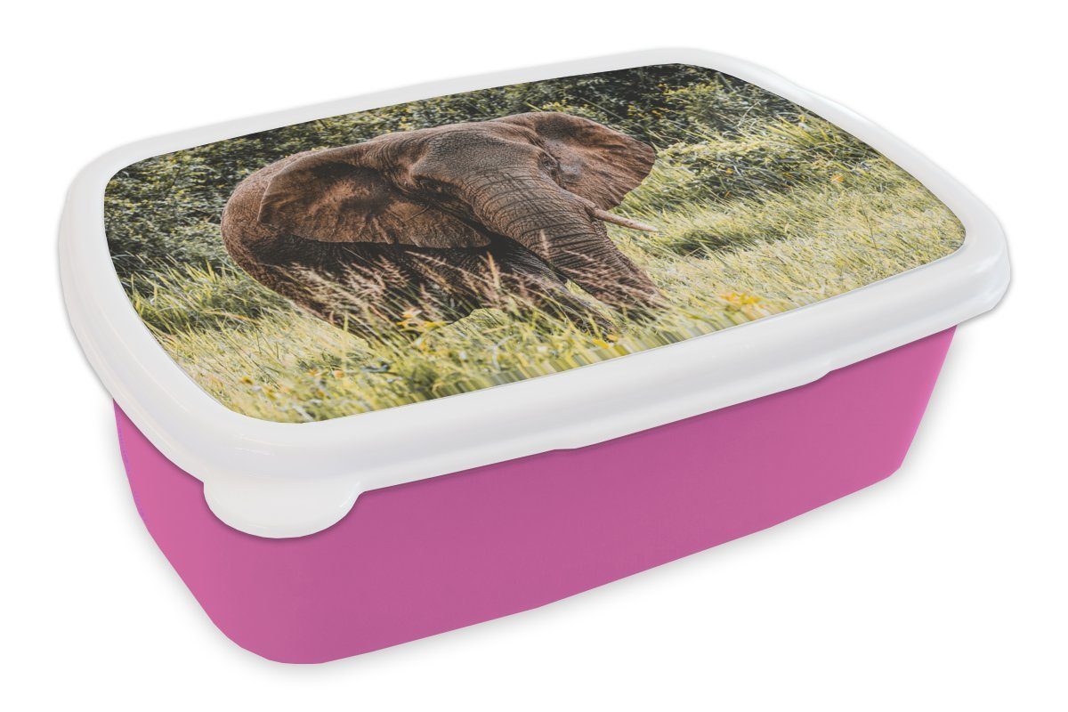 MuchoWow Lunchbox Elefant - Natur - Gras, Kunststoff, (2-tlg), Brotbox für Erwachsene, Brotdose Kinder, Snackbox, Mädchen, Kunststoff rosa
