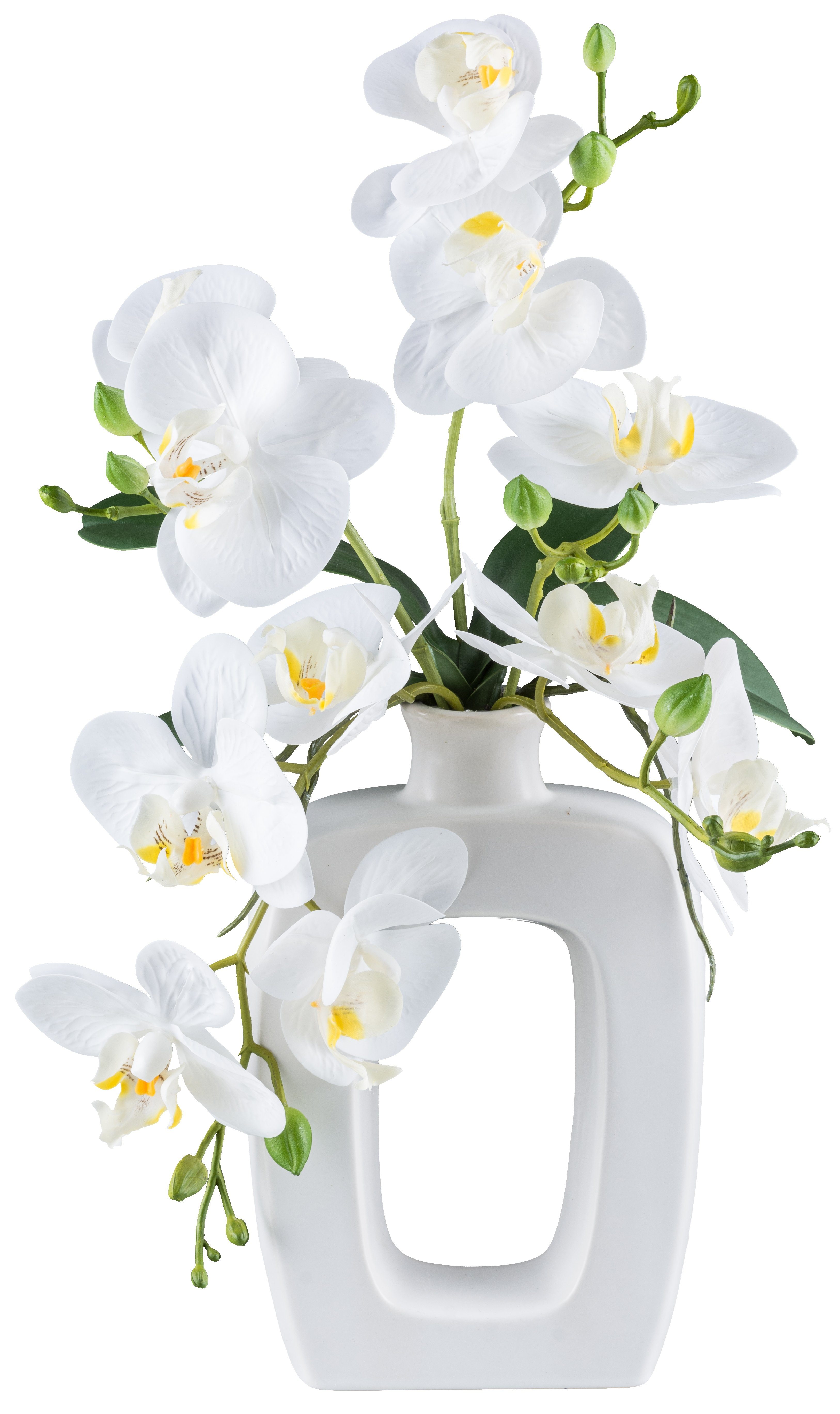 Kunstpflanze Orchidee Phalaenopsis Orchidee, my home, Höhe 42 cm, im Design günstig online kaufen