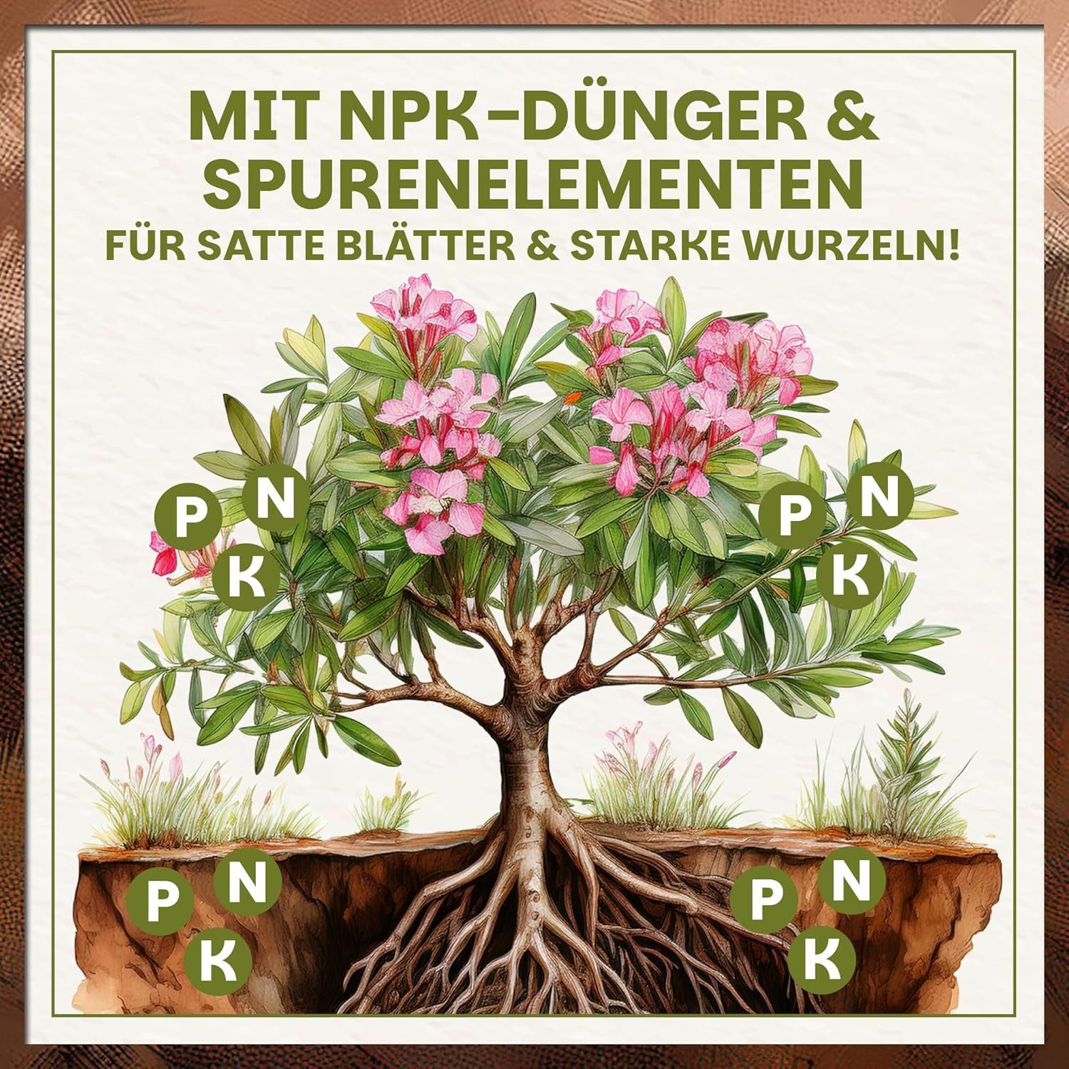 GREEN HOME LOVE NATURE Spezialerde Olivenbaum- & Oleandererde für mediterrane Pflanzen, Langzeitdünger 18 L, 36 L, 72 L, Langzeitdünger, Perlite, Kokosfasern, p – Bild 4 von 5