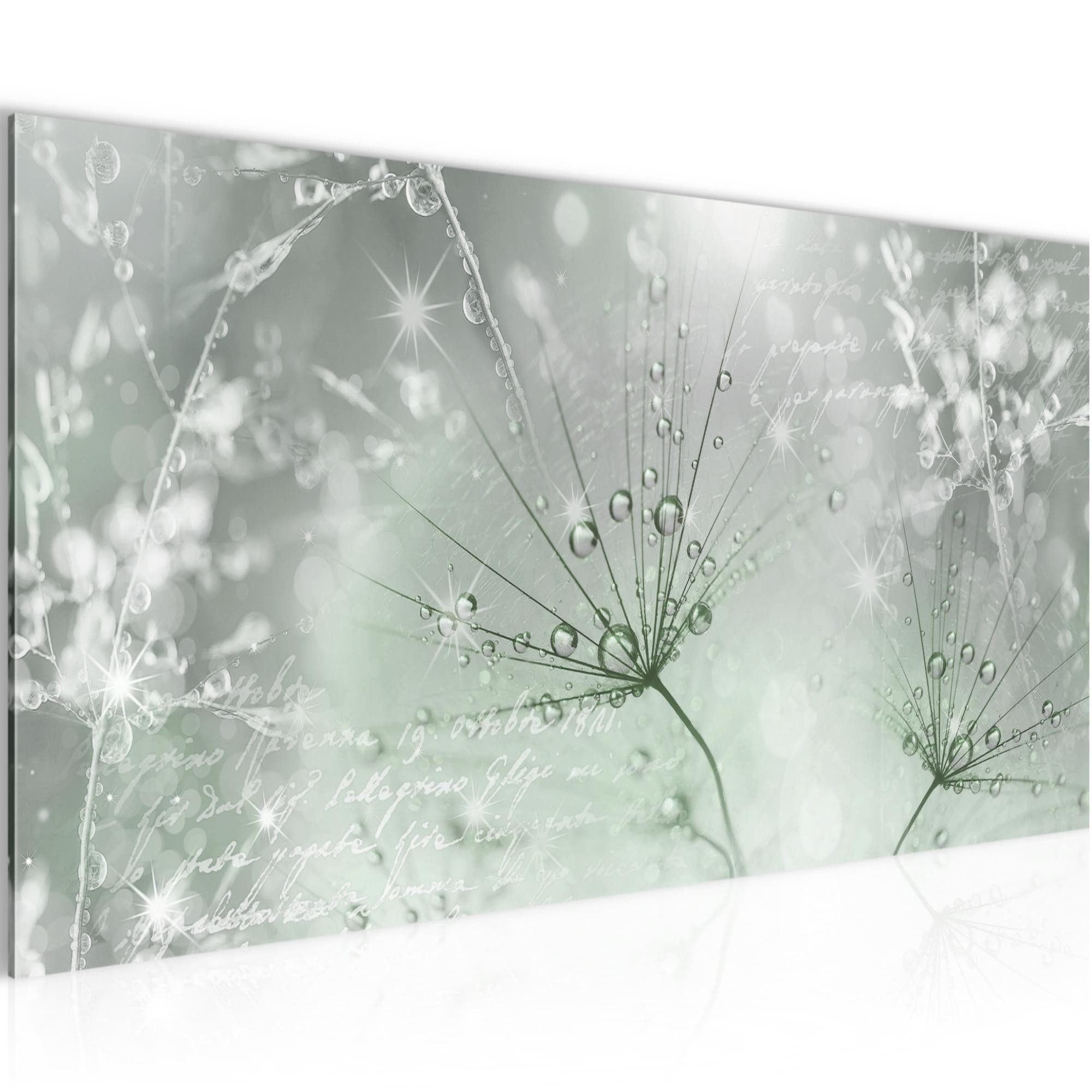 Runa Art Wandbild Pusteblume Modern Bild auf Vlies Leinwand Natur Grün Grau 205512c, 100L x 40B cm
