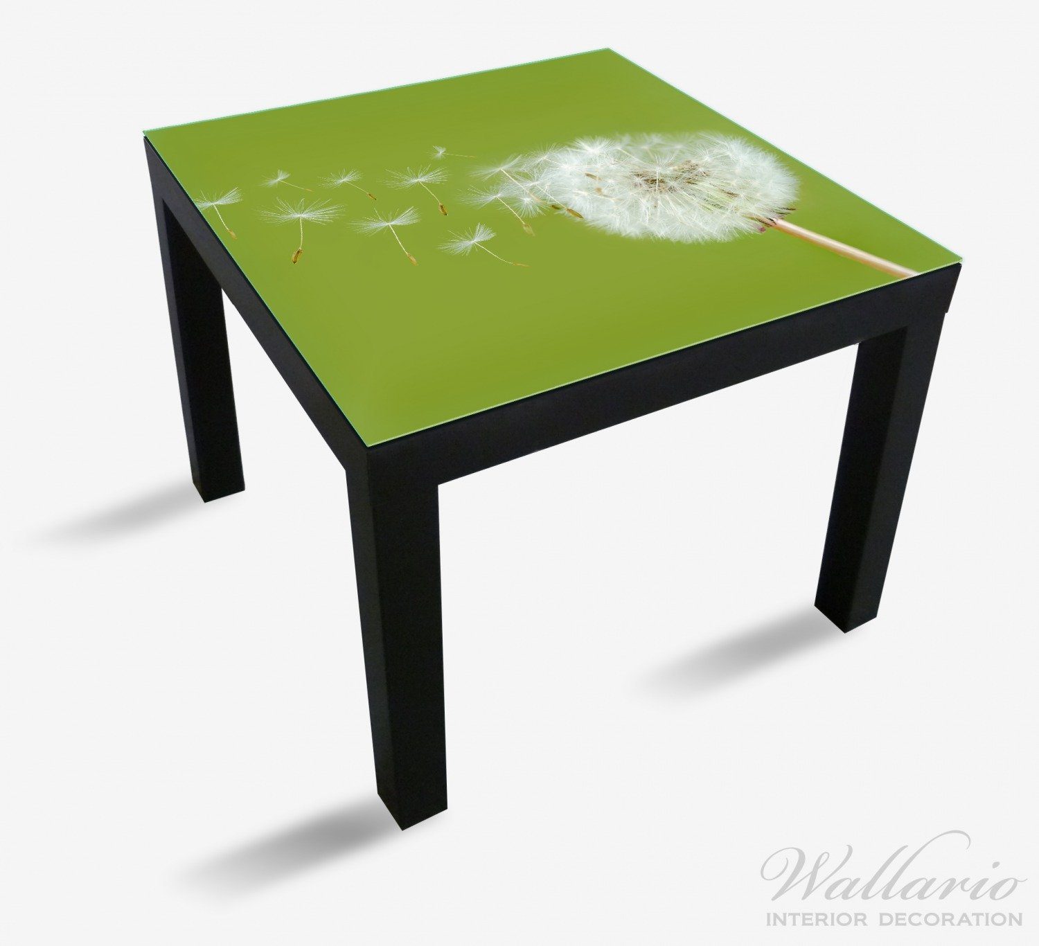 (1 Wiese fliegenden für geeignet Samen auf St), Tisch Ikea der Pusteblume Tischplatte Wallario mit Lack
