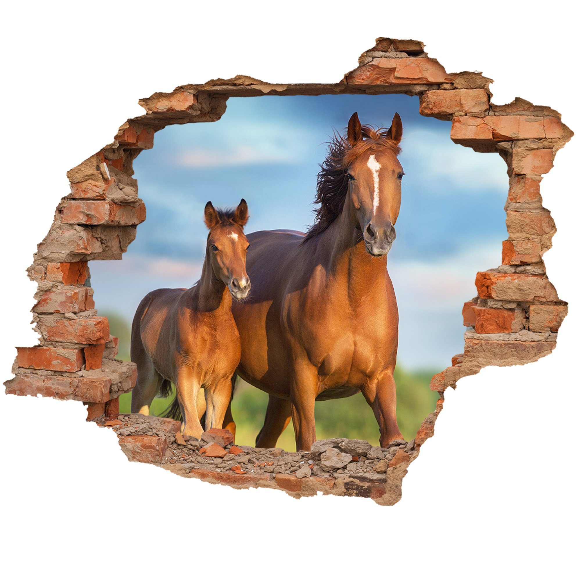 WallSpirit Wandtattoo Wanddurchbruch "Pferd mit Fohlen", Selbstklebend, rüc günstig online kaufen