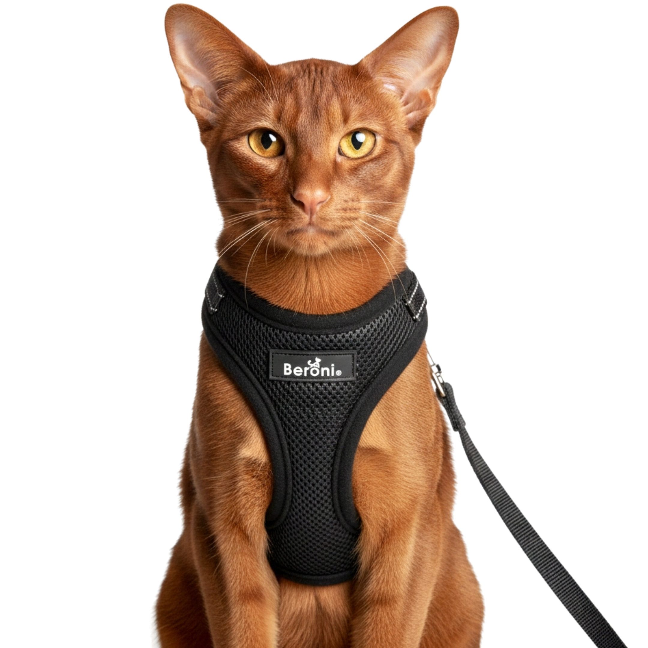 Beroni Katzen-Geschirr Katzengeschirr mit Leine für Katze ausbruchsicher, reflektierend, S - L für Bengal, Maine Coon, kleine Katzen inklusive Katzenleine
