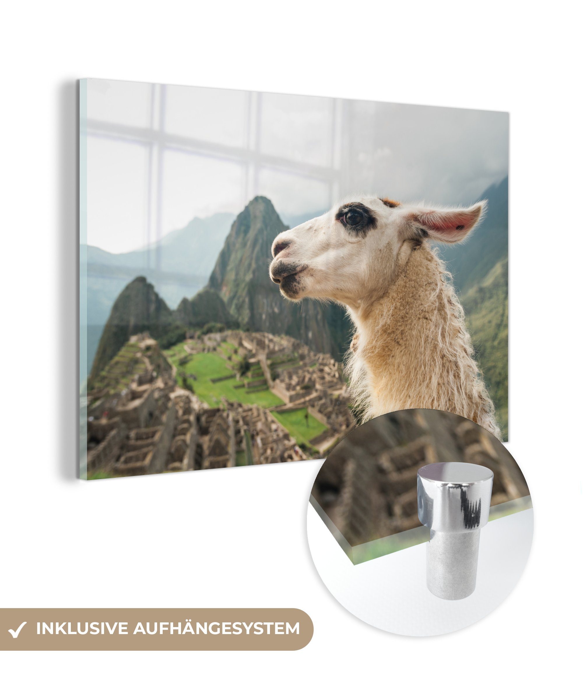 MuchoWow Acrylglasbild Lama - Machu Picchu - Weiß, (1 St), Acrylglasbilder Wohnzimmer & Schlafzimmer