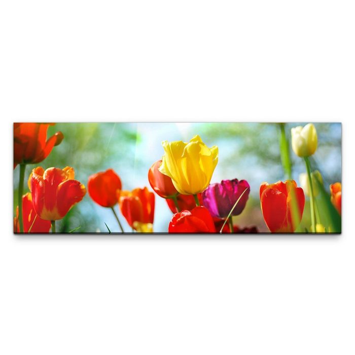 möbel-direkt.de Leinwandbild Bilder XXL Tulpen bunt Wandbild auf Leinwand