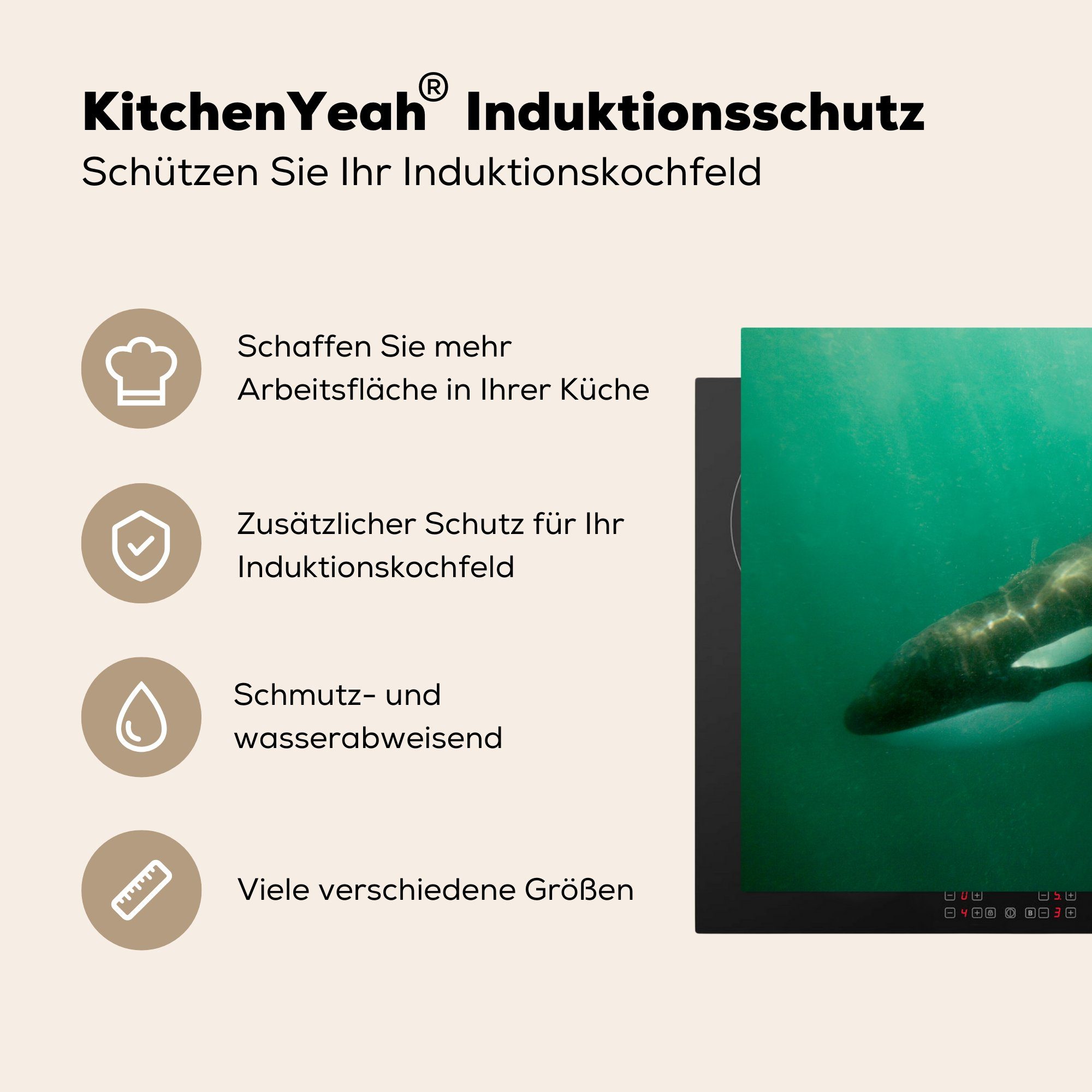 81x52 Herdblende-/Abdeckplatte Schutz im Induktionskochfeld küche, (1 für Wasser, Orcas die Ceranfeldabdeckung Zwei Vinyl, MuchoWow tlg), cm,