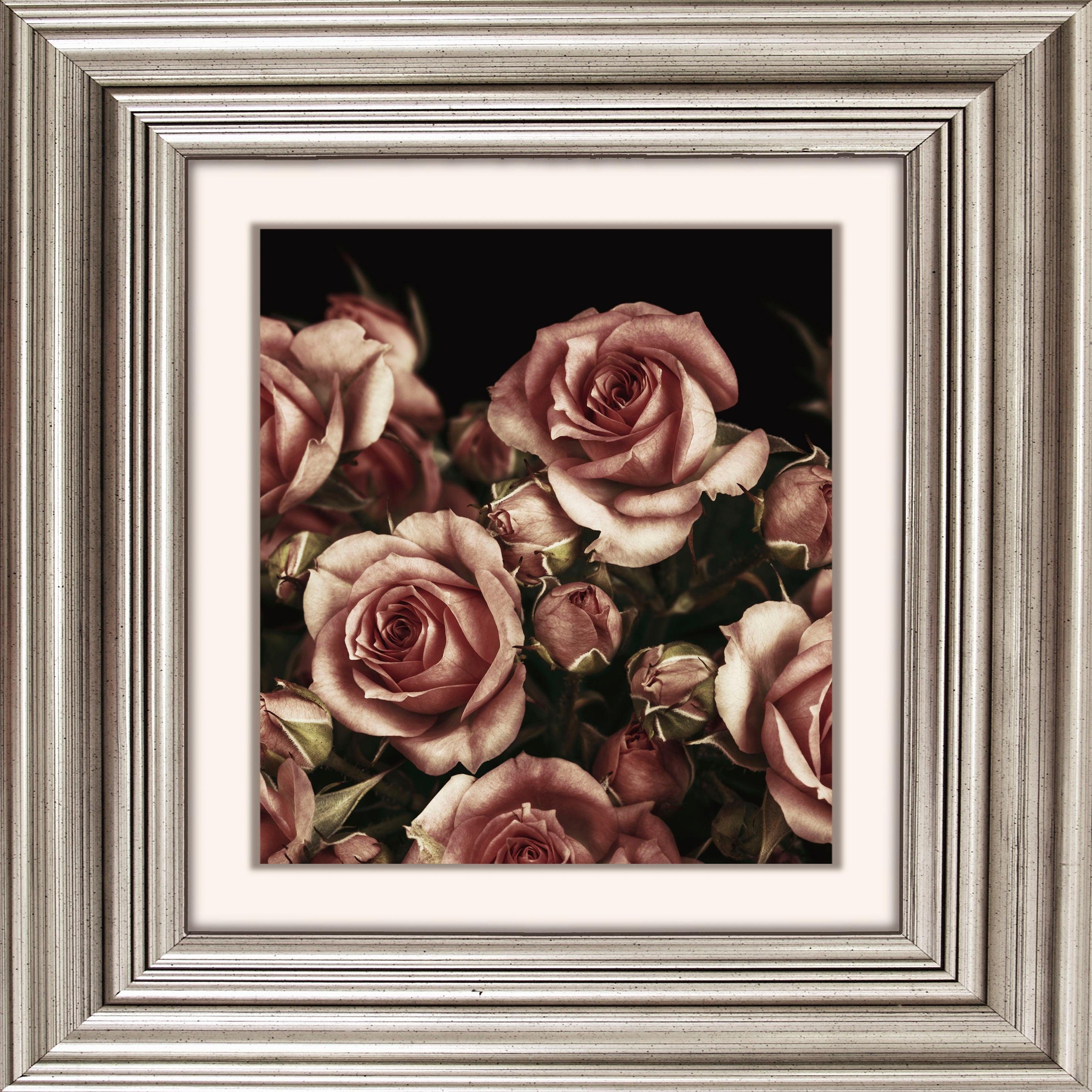 Rosen Acrylglasbild queence Blüten