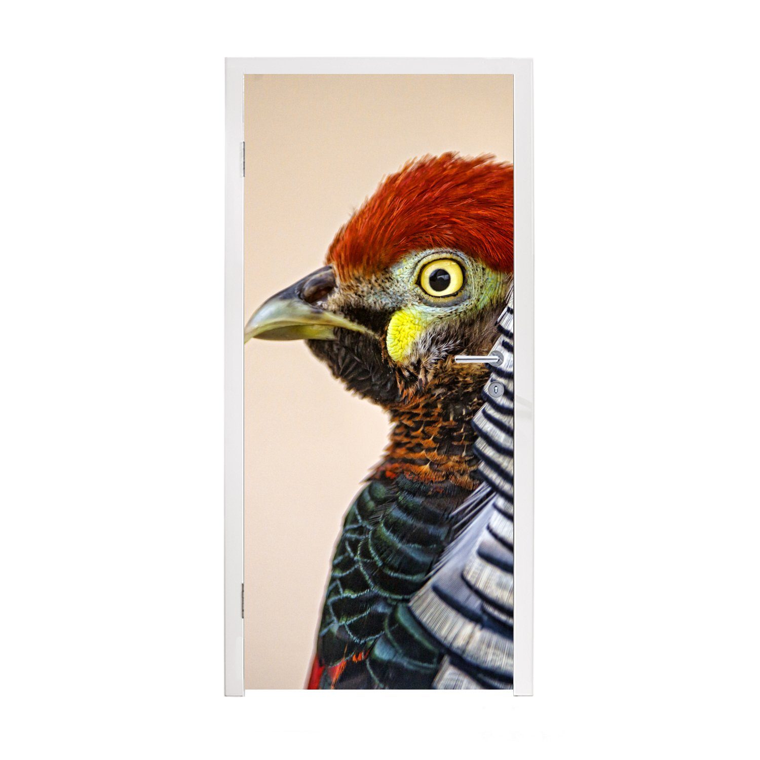 MuchoWow Türtapete Fasan - Porträt - Vogel, Matt, bedruckt, (1 St), Fototapete für Tür, Türaufkleber, 75x205 cm