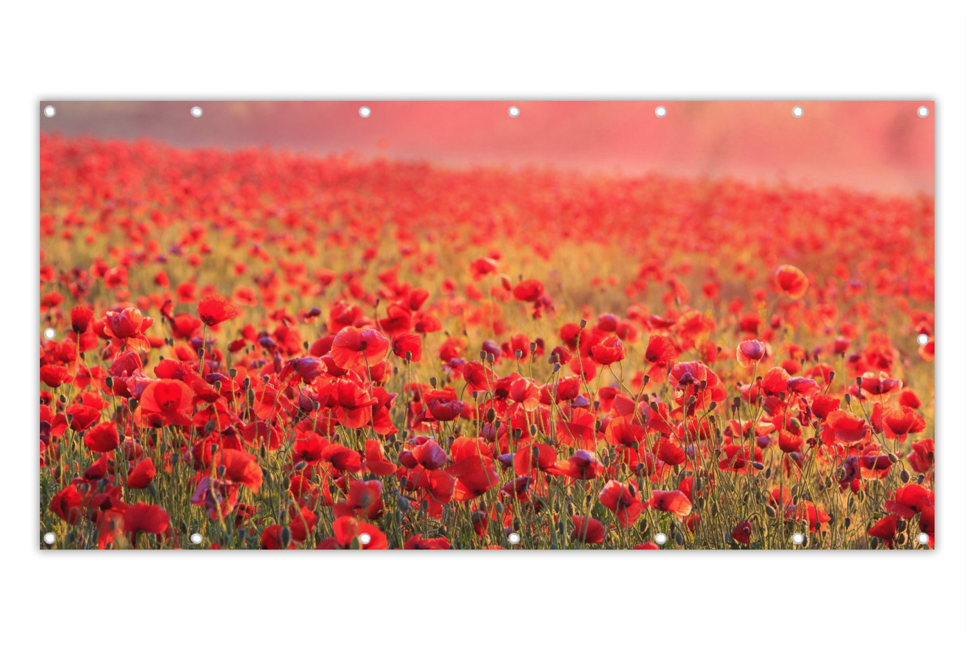 MuchoWow Balkonsichtschutz Blumen - Mohn - günstig online kaufen