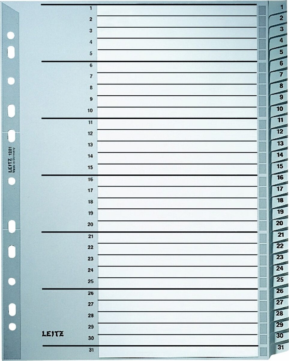 LEITZ Aktenordner Register A4 1-31 PP grau mit Deckblatt