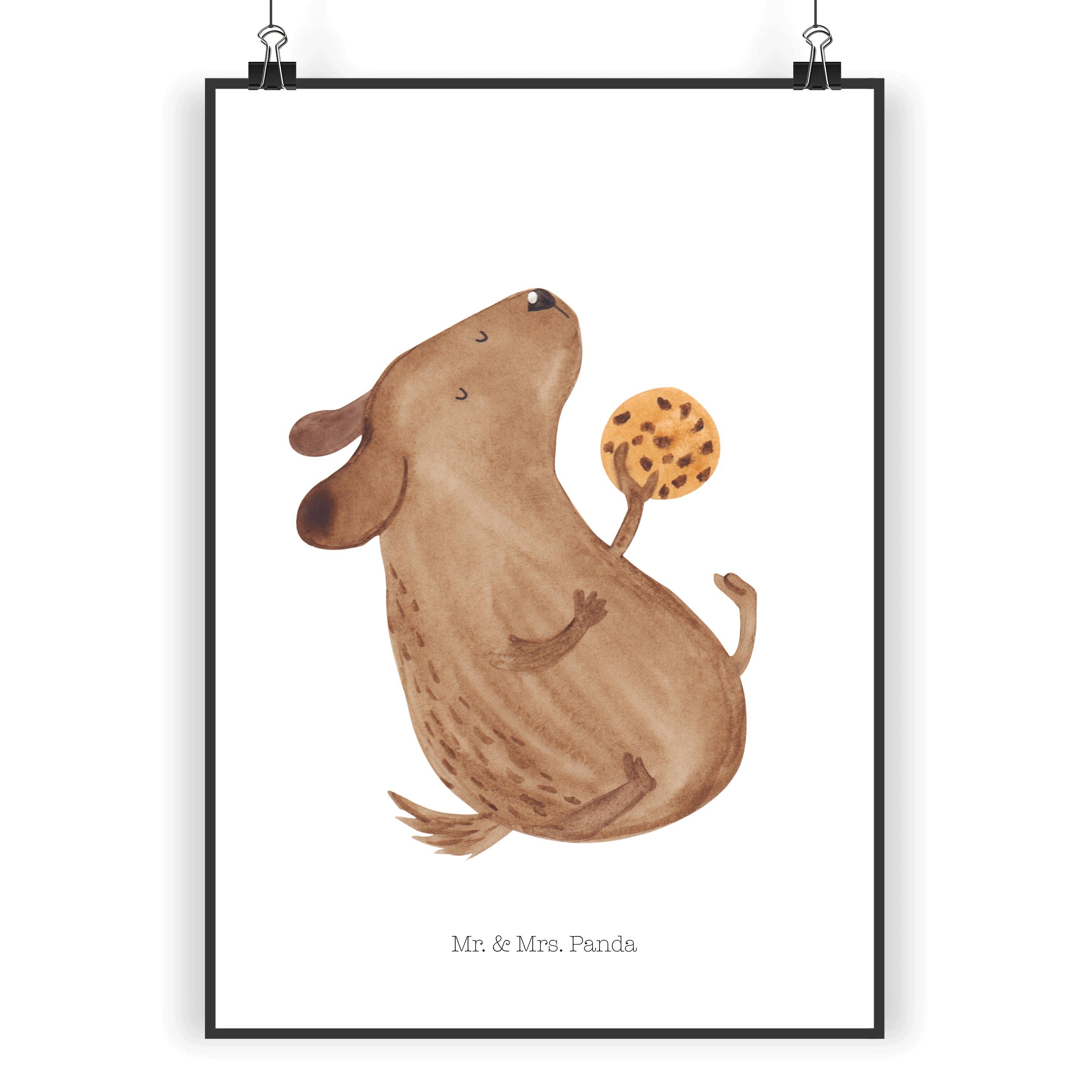 Poster DIN A4 Hund Keks - Weiß - Geschenk, Sprüche, Kinderposter, Hundeliebe