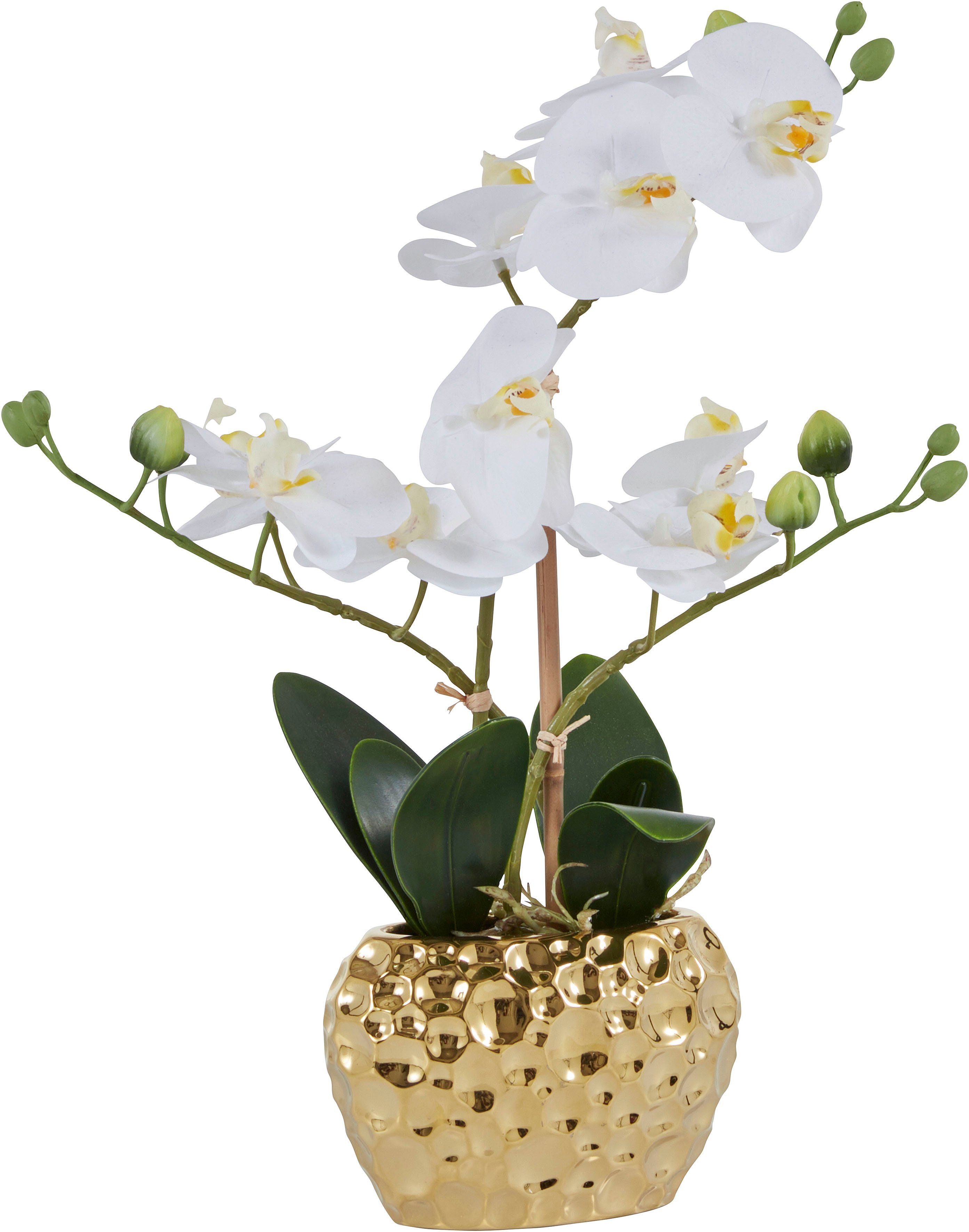 Kunstpflanze Orchidee Orchidee, Leonique, Höhe 38 cm, Kunstorchidee, im Topf