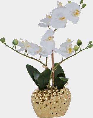 Kunstpflanze »Orchidee« Orchidee, Leonique, Höhe 38 cm, Kunstorchidee, im Topf