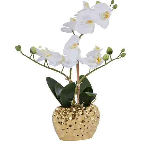 Kunstpflanze Orchidee Orchidee, Leonique, Höhe 38 cm, Kunstorchidee, im Topf