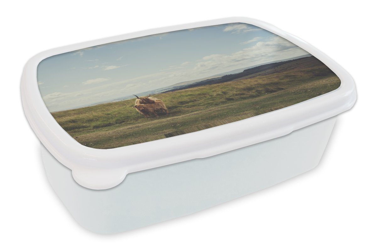 MuchoWow Lunchbox Schottische Highlander - Gras - Wolken - Tiere, Kunststoff, (2-tlg), Brotbox für Kinder und Erwachsene, Brotdose, für Jungs und Mädchen weiß