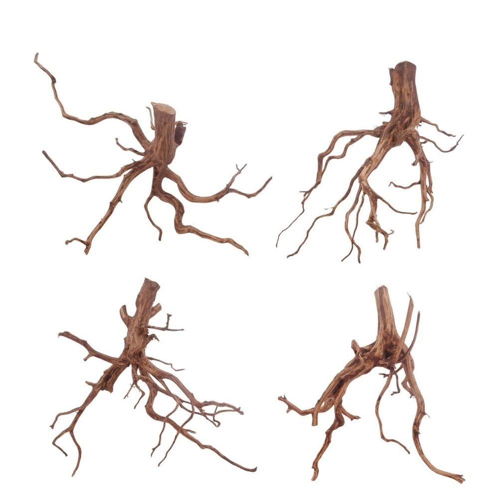 Aquaone Aquarium Red Spider Wurzel L 30-40 cm