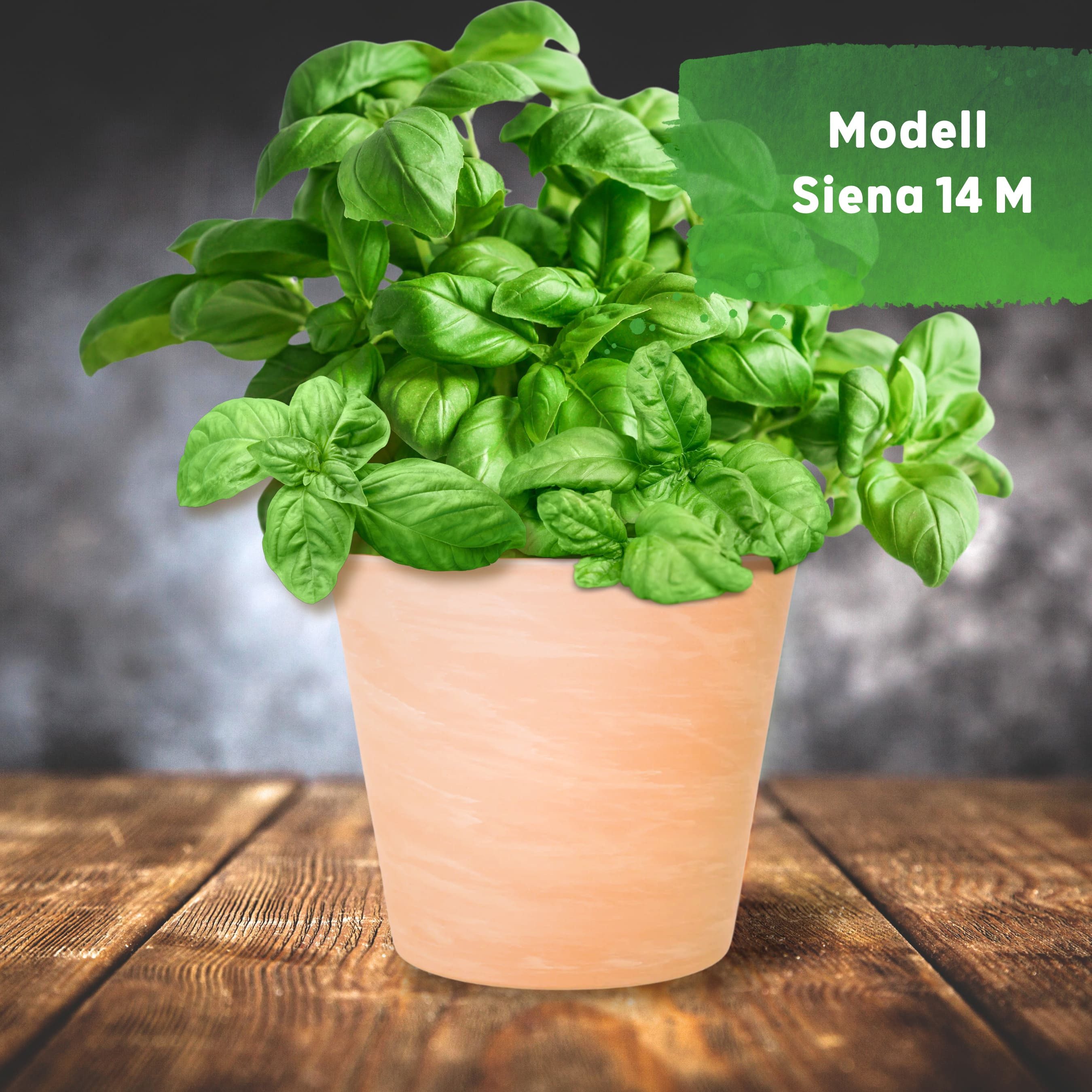 LENI Blumentopf Siena Terrakotta matt rund günstig online kaufen
