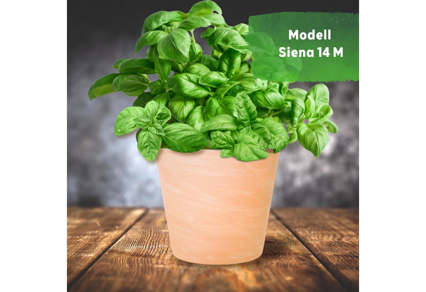 Thumbnail - LENI Blumentopf Siena Terrakotta matt rund Stil Boho & mediterran (Keramik Modell 14 M, 1 St., für Innen als Übertopf & ...