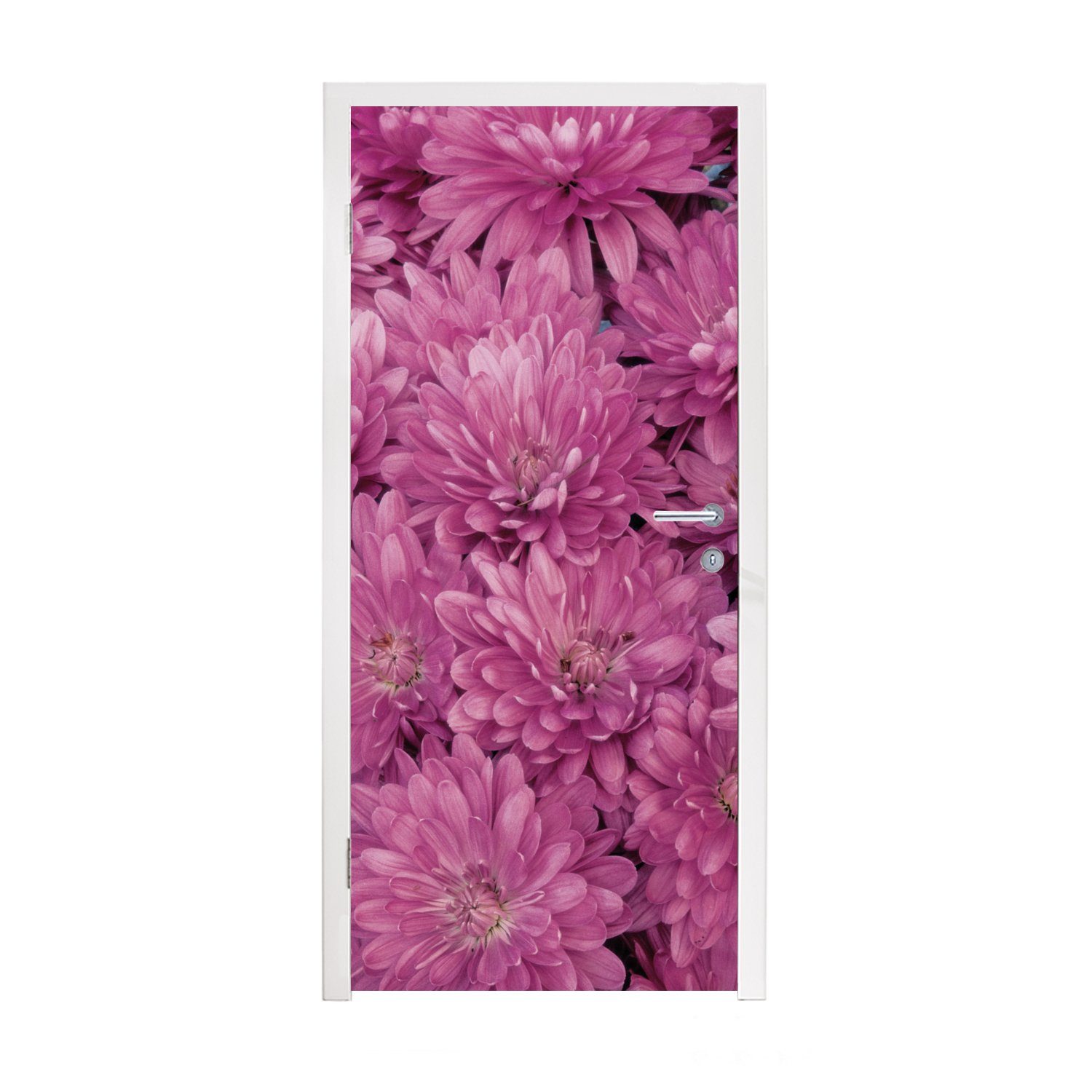 MuchoWow Türtapete Blühende rosa Chrysantheme, Matt, bedruckt, (1 St), Fototapete für Tür, Türaufkleber, 75x205 cm
