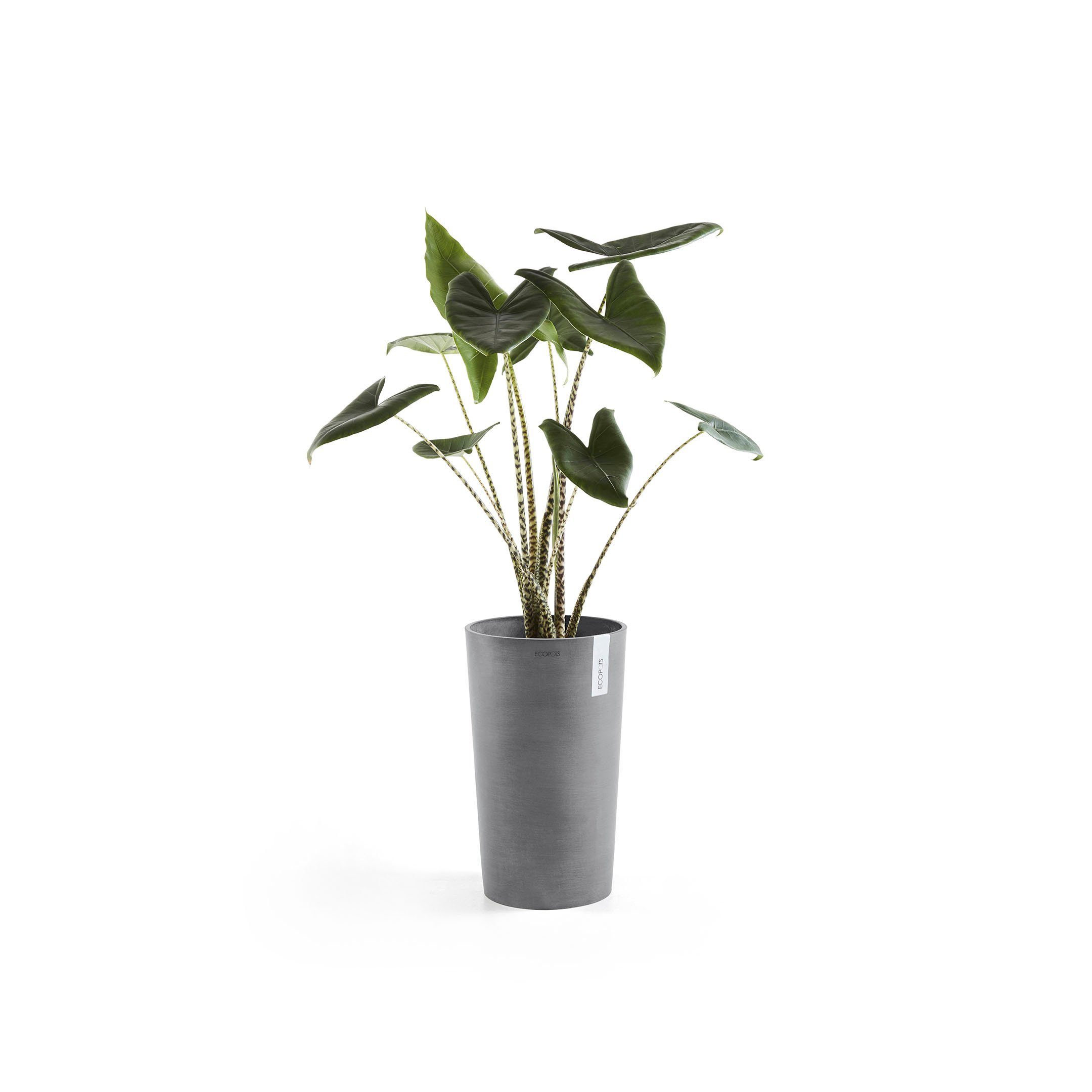 ECOPOTS Blumentopf 30x50 Amsterdam, cm ØxH: