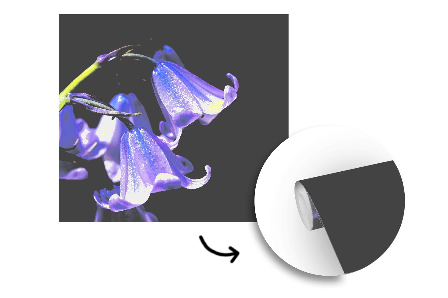 MuchoWow Fototapete einer Vinyl oder für Blüten bedruckt, Tapete Schlafzimmer, Matt, Wohnzimmer Sternhyazinthe, St), violetten (5 der Nahaufnahme Wandtapete