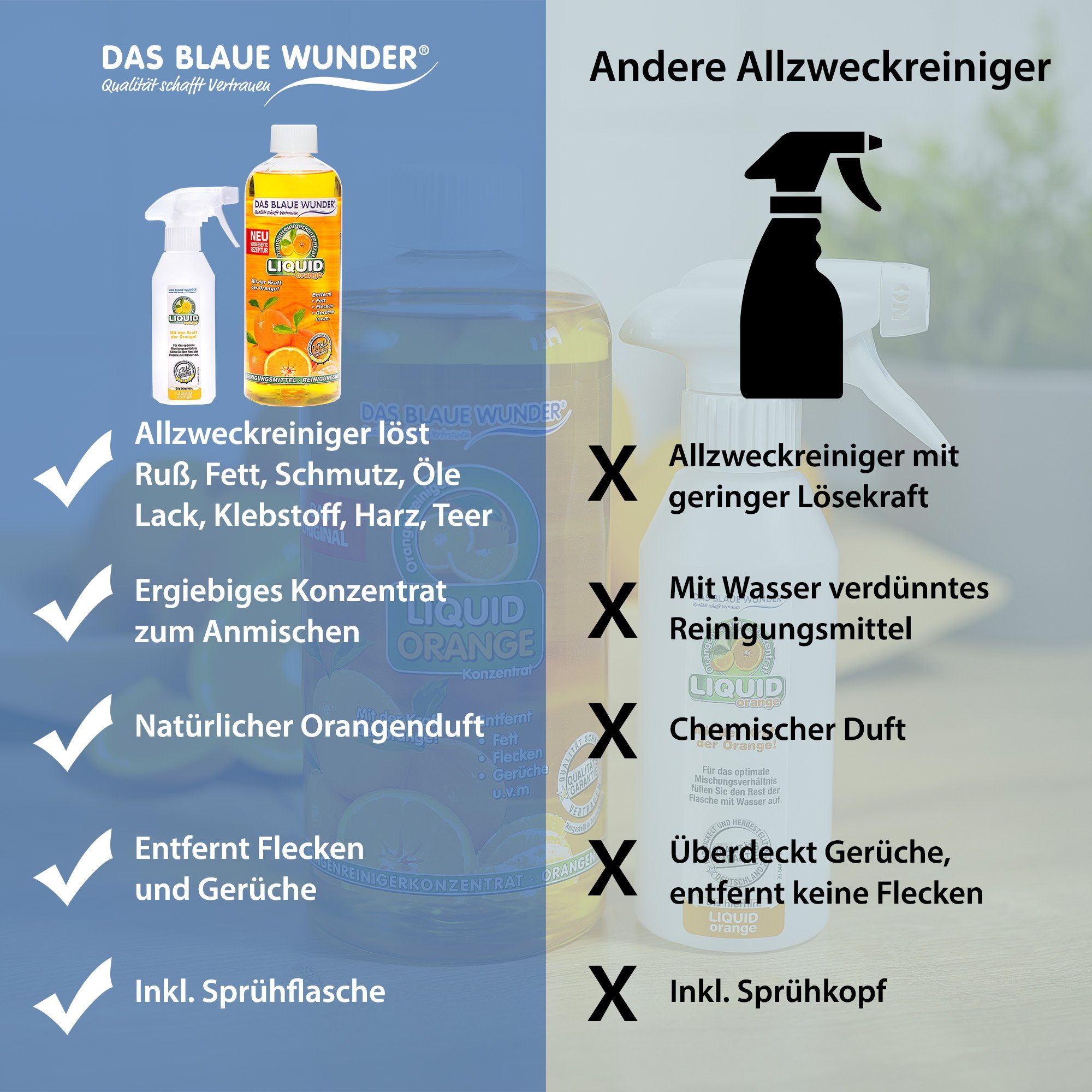 Eilfix Orangenöl Universalreiniger Konzentrat 10 Liter