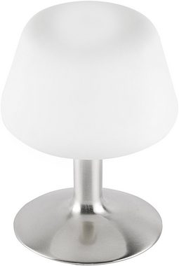 Paul Neuhaus LED Tischleuchte Till, Dimmfunktion, LED wechselbar, Warmweiß, 3-Stufen Touchdimmer