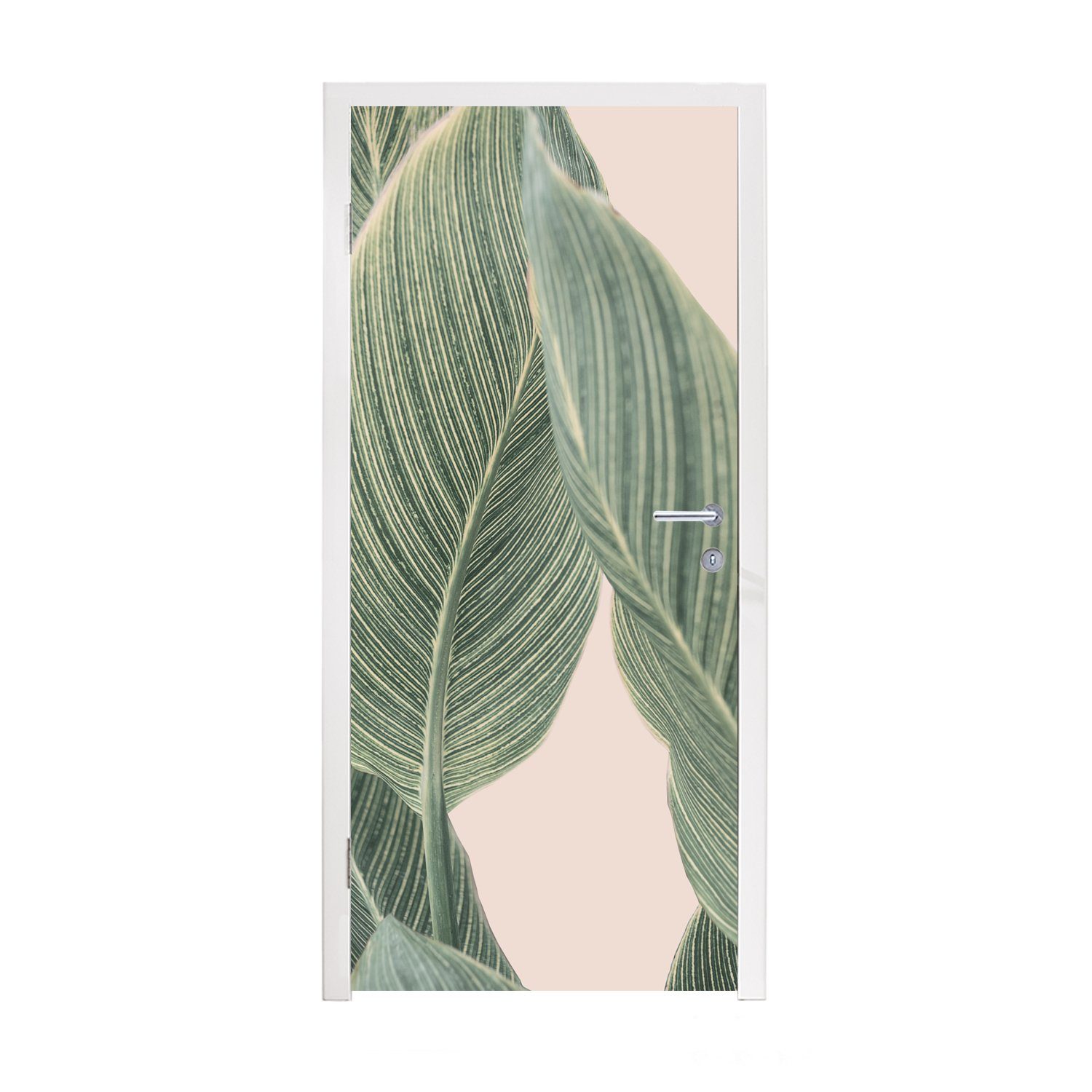 MuchoWow Türtapete Pflanze - Grün - Natur - Beige, Matt, bedruckt, (1 St), Fototapete für Tür, Türaufkleber, 75x205 cm