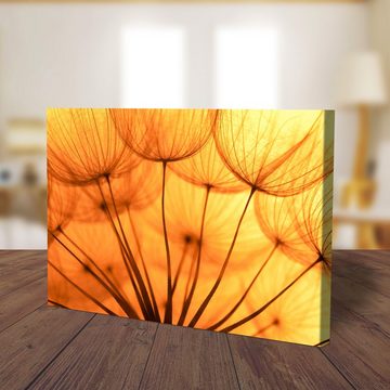 wandmotiv24 Leinwandbild Pusteblume Orange, Blumen und Pflanzen (1 St), Wandbild, Wanddeko, Leinwandbilder in versch. Größen
