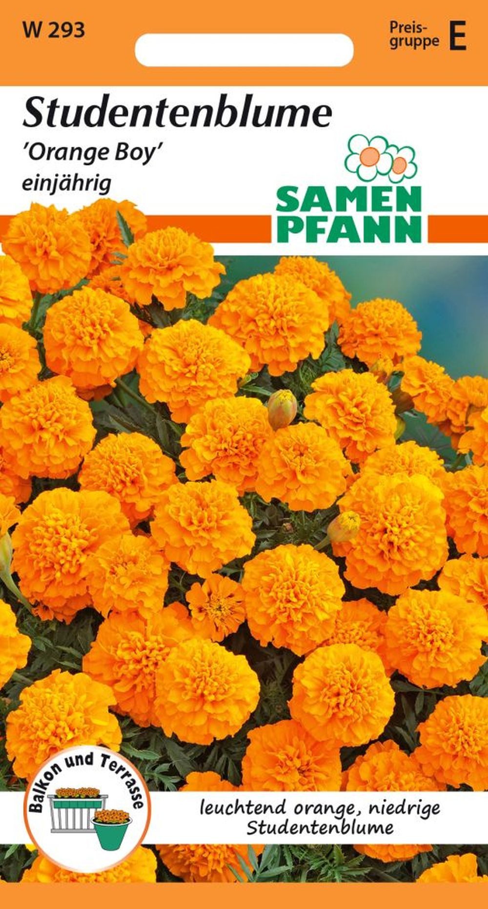 SAMEN PFANN Blumensamen Tagetes, Orange Boy - Saatgut Tagetes-Samen Samen, Tagetes patula