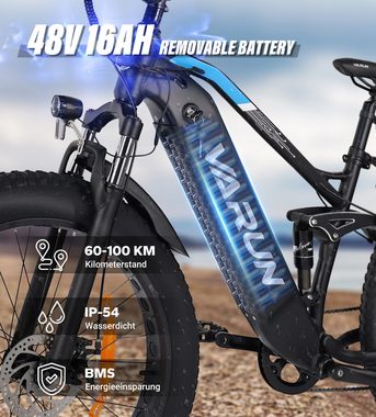 DOTMALL E-Bike VARUN S26-1 MTB für Erwachsener mit 250W Motor, 48V 16Ah Akku,7-Gang