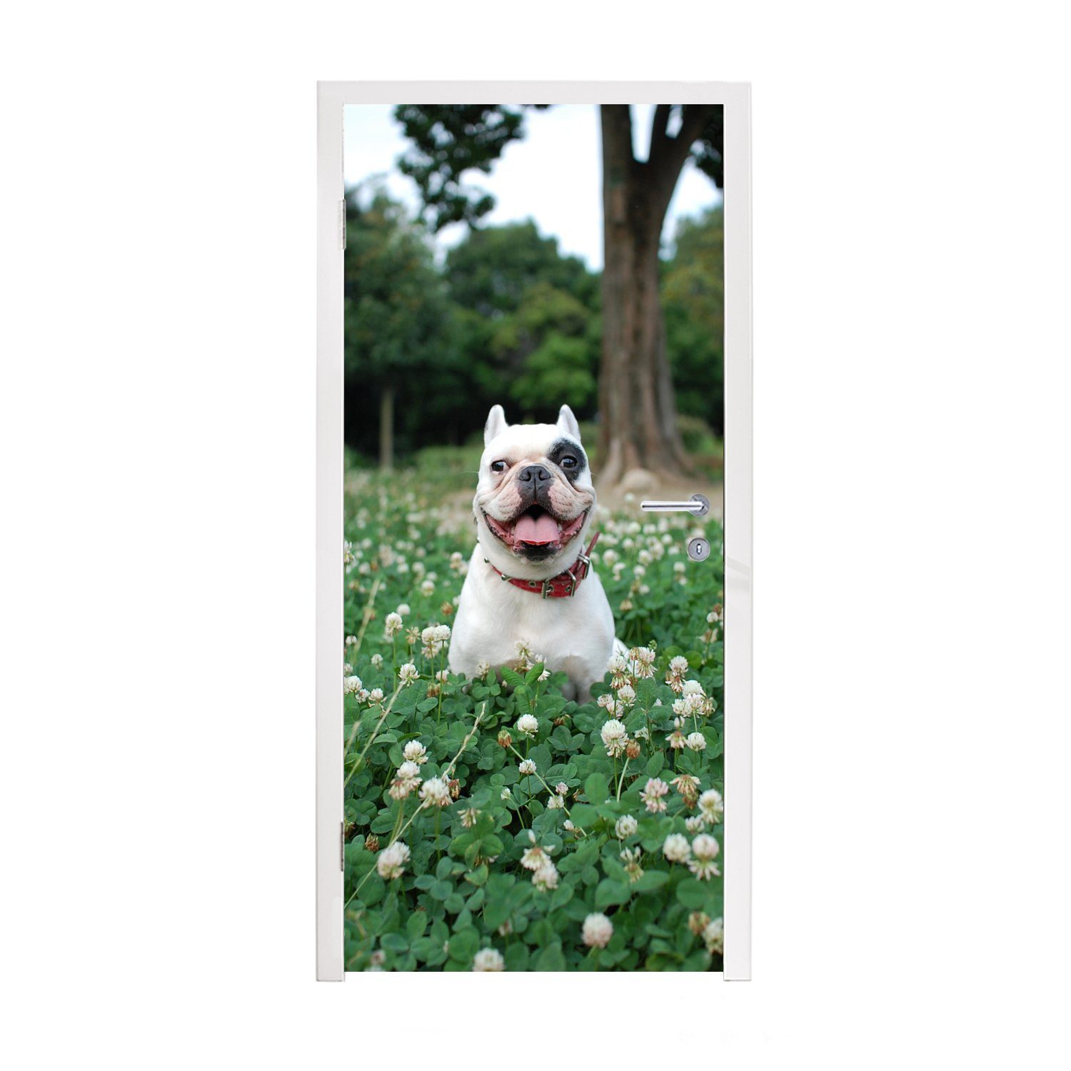 MuchoWow Türtapete Tier - Klee - Hund, Matt, bedruckt, (1 St), Fototapete für Tür, Türaufkleber, 75x205 cm