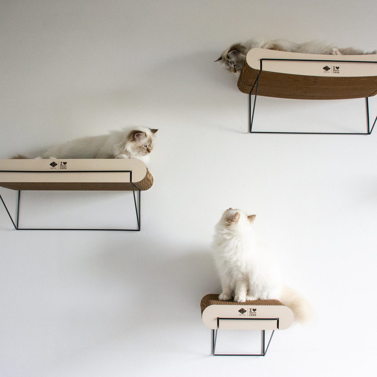 D&D Kratzbrett Wandregal I Love Happy Cats David aus Pappe braun/beige