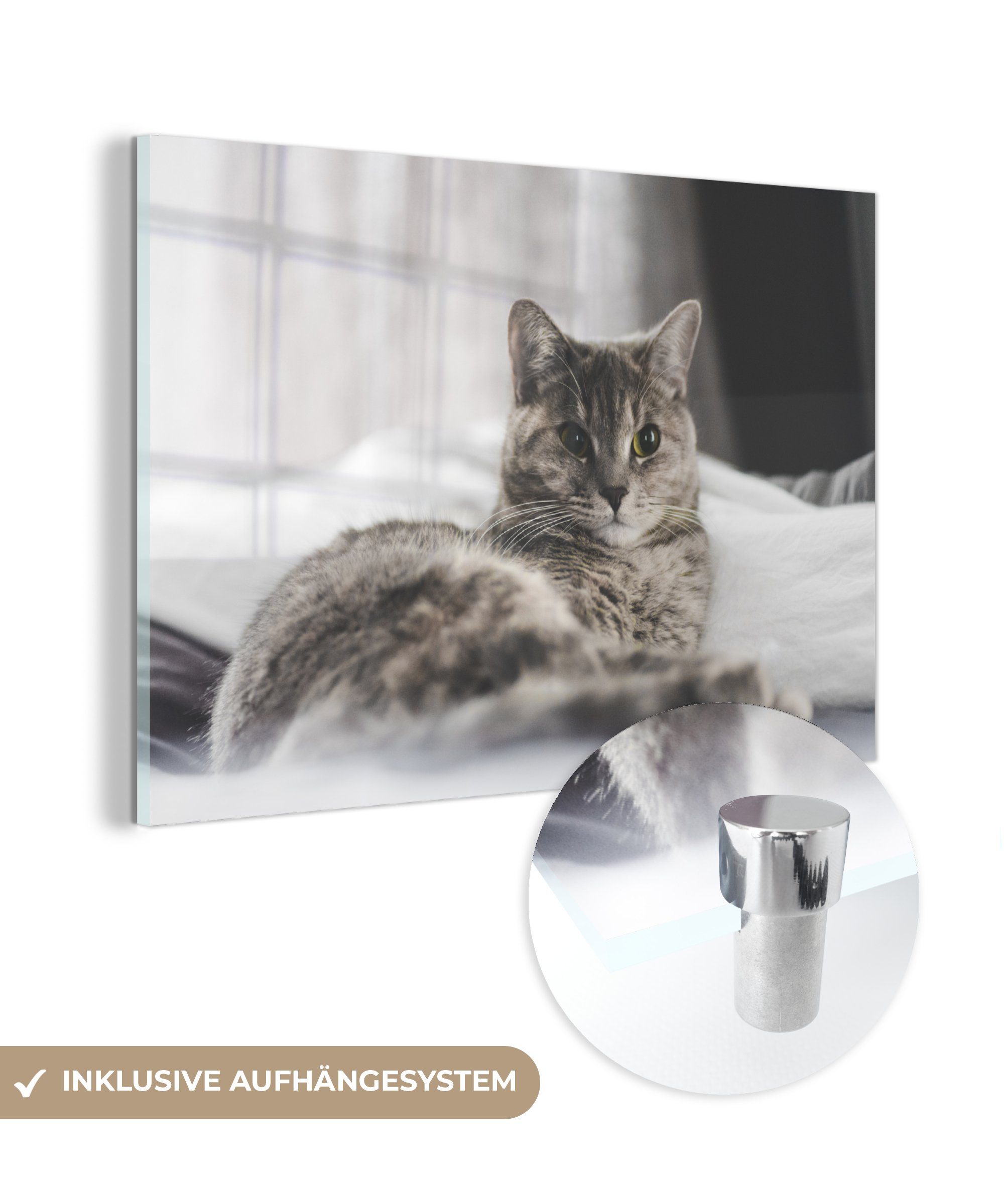 MuchoWow Acrylglasbild Katze - Bettlaken - Bett, (1 St), Acrylglasbilder Wohnzimmer & Schlafzimmer