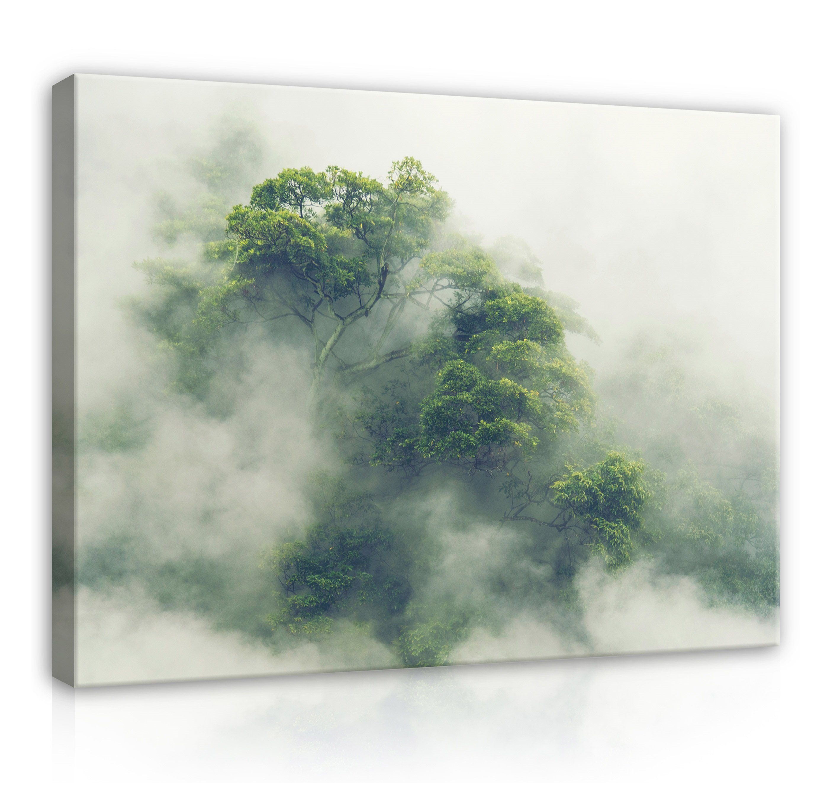Dschungel Brume Modern, Aufhängefertig Wald (Einteilig), Tropisch Wallarena Japan XXL Wald Tropischer Leinwandbilder in Leinwandbild Wandbild