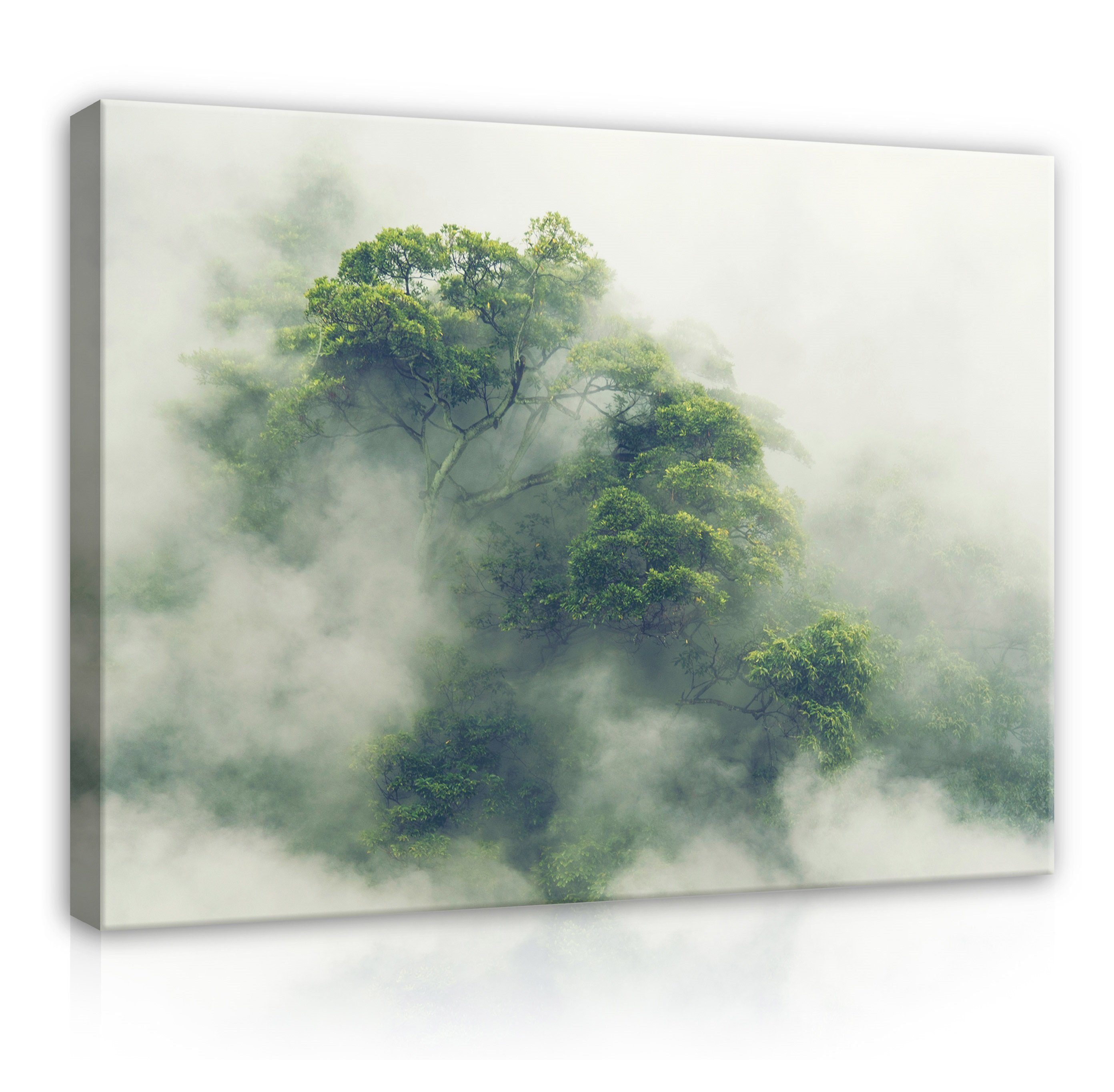 Wallarena Leinwandbild Wald Nebel Natur Grün günstig online kaufen