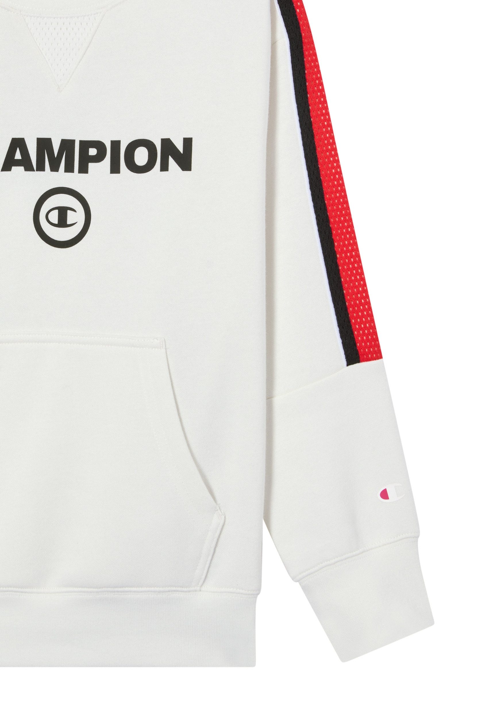 Champion Sweatshirt Crewneck Sweatshirt IWT/SED/IWT