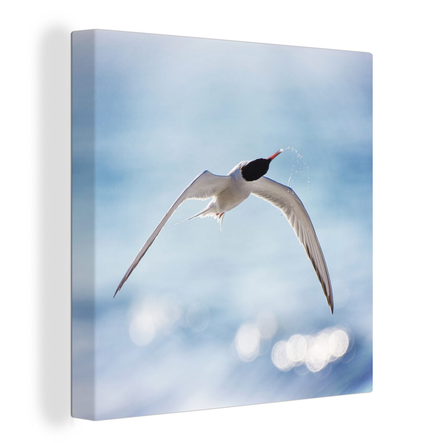 OneMillionCanvasses® Leinwandbild Vogel - Wasser - Blau, (1 St), Leinwand Bilder für Wohnzimmer Schlafzimmer