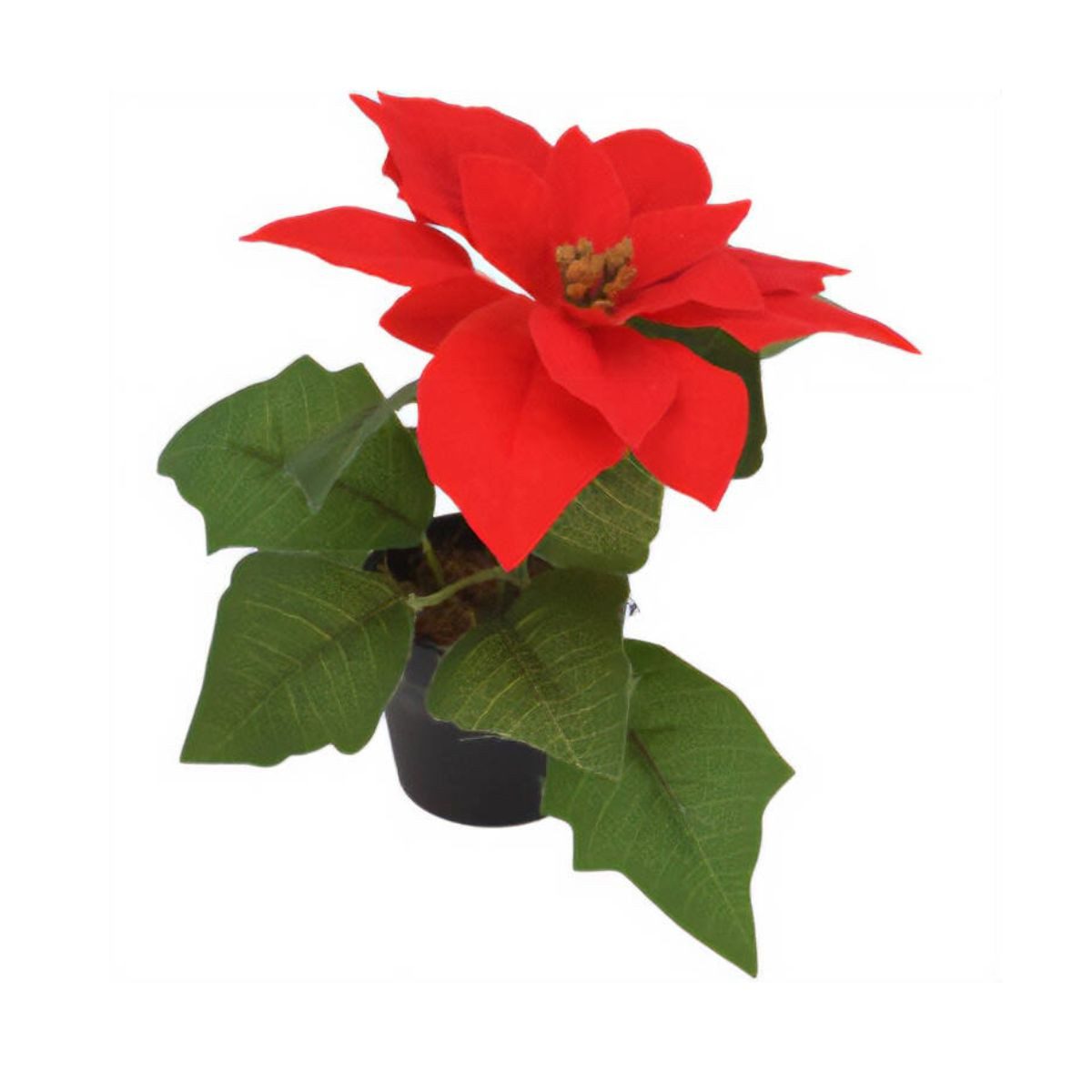 Dekoobjekt Weihnachtsstern