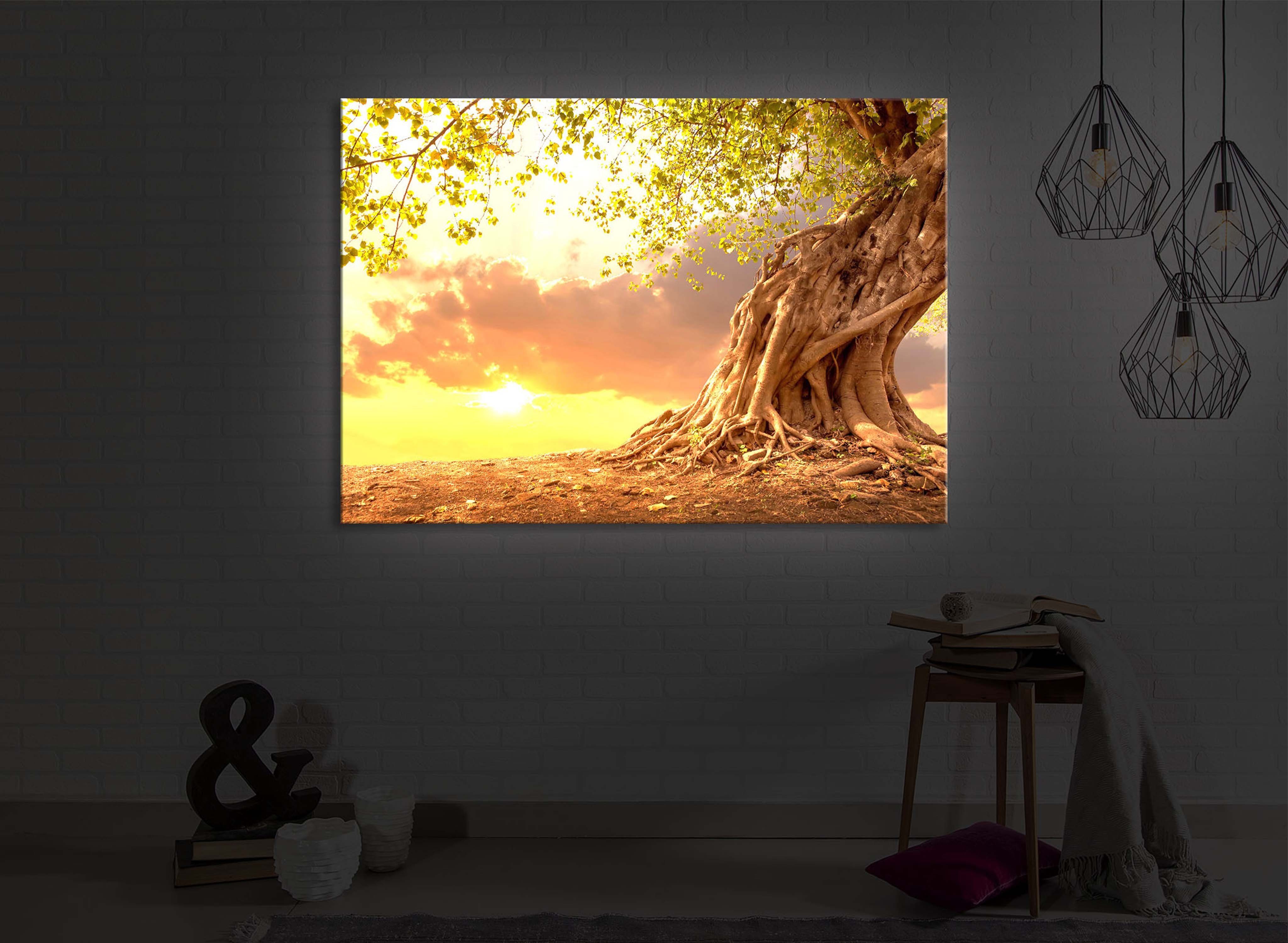 lighted Leuchtbild mit LED-Bild lightbox-multicolor Baum front im 60x40cm, / Fernbedienung Verwurzelter Sonnenuntergang starker