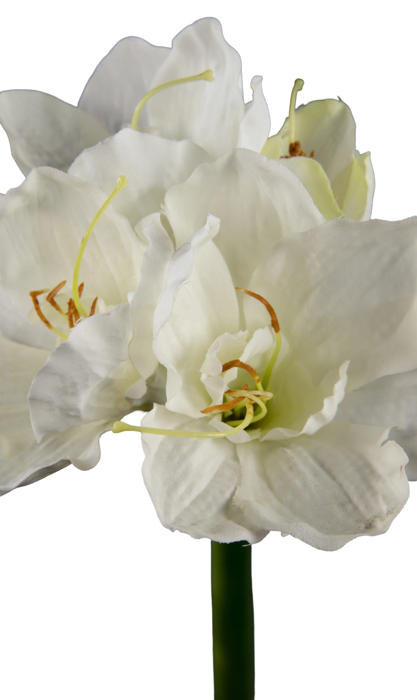 Kunstblume Große Amaryllis 65cm GA Dekoblumen künstliche Blumen Ritterstern günstig online kaufen
