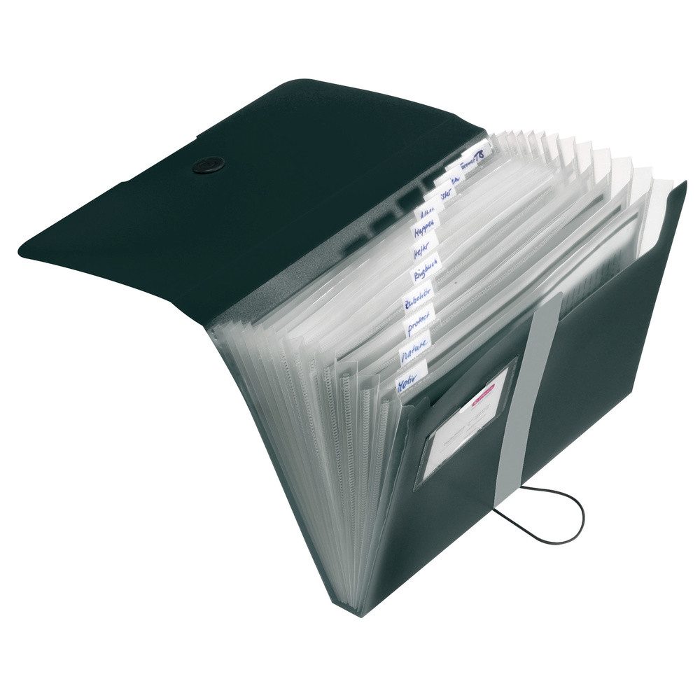 Herlitz Fächermappe Herlitz Fächermappe 11208394 DIN günstig online kaufen