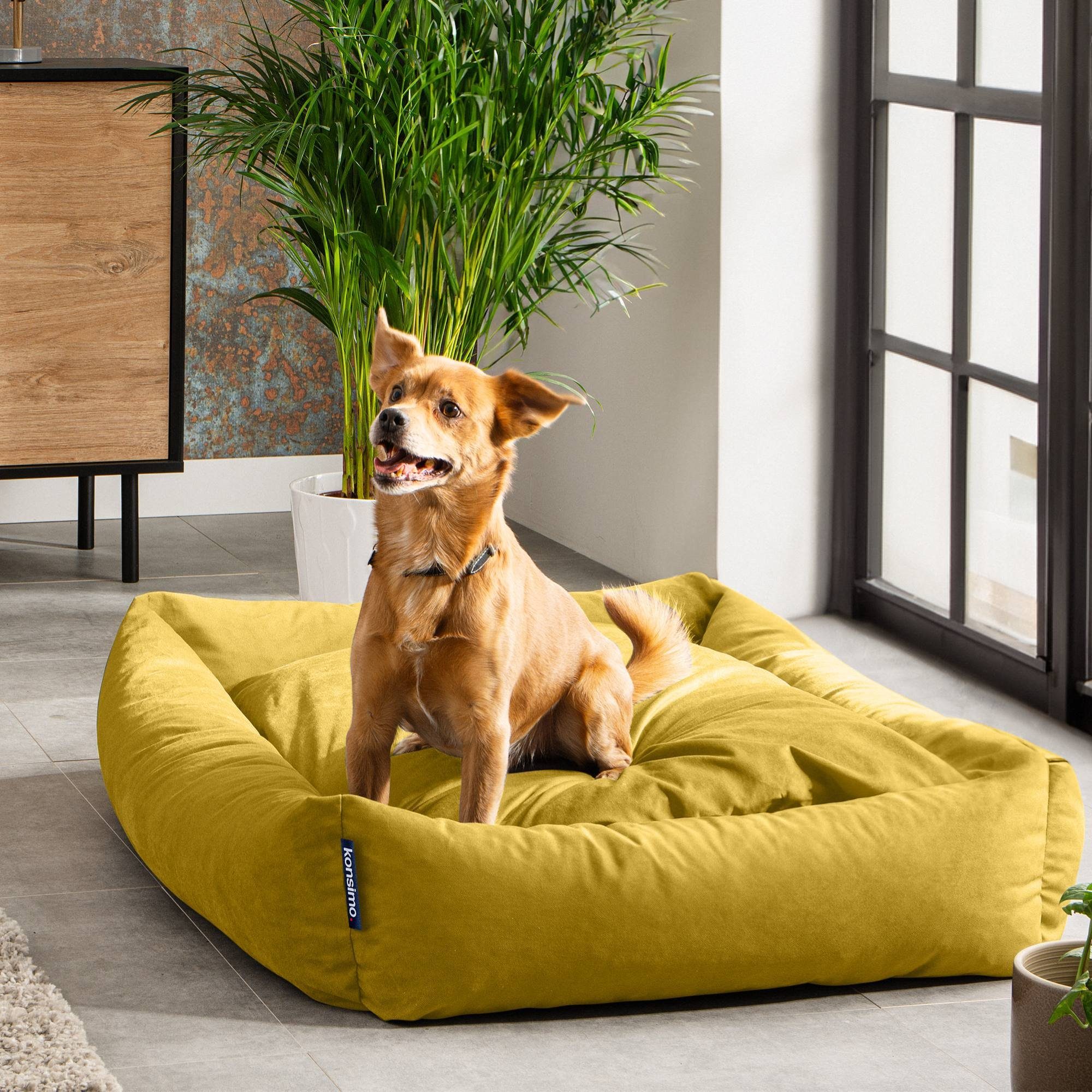 KONSIMO® Tierbett Hundebett CANINI, 100 % Polyester, Super Clean Technologie, Kissenbezug abnehmbar