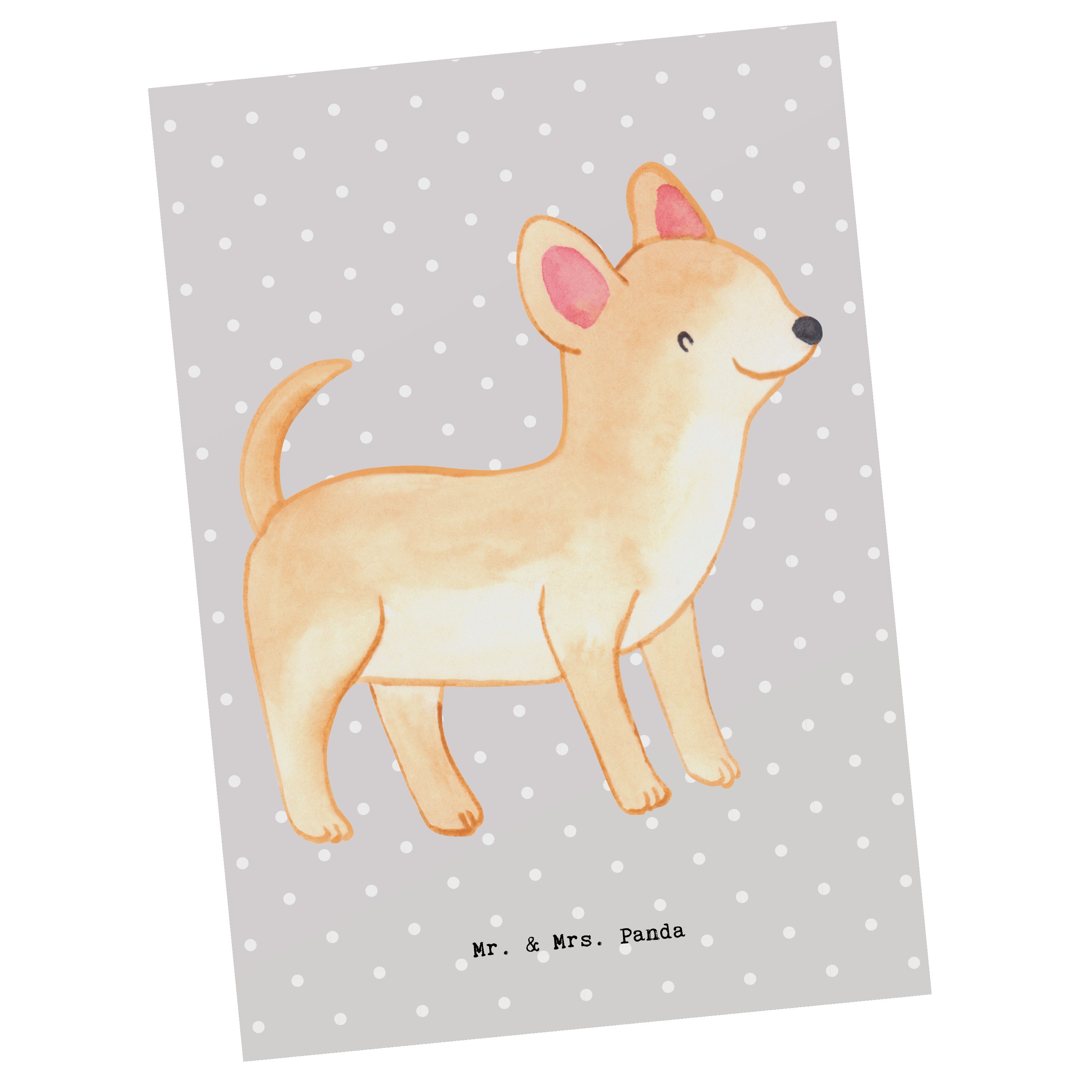 Mr. & Mrs. Panda Postkarte Chihuahua Lebensretter - Grau Pastell - Geschenk, Hunderasse, Dankesk