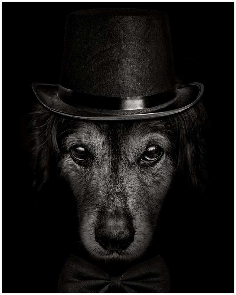 Wallario Poster, Eleganter Hund mit Zylinder in schwarz-weiß, in  verschiedenen Ausführungen