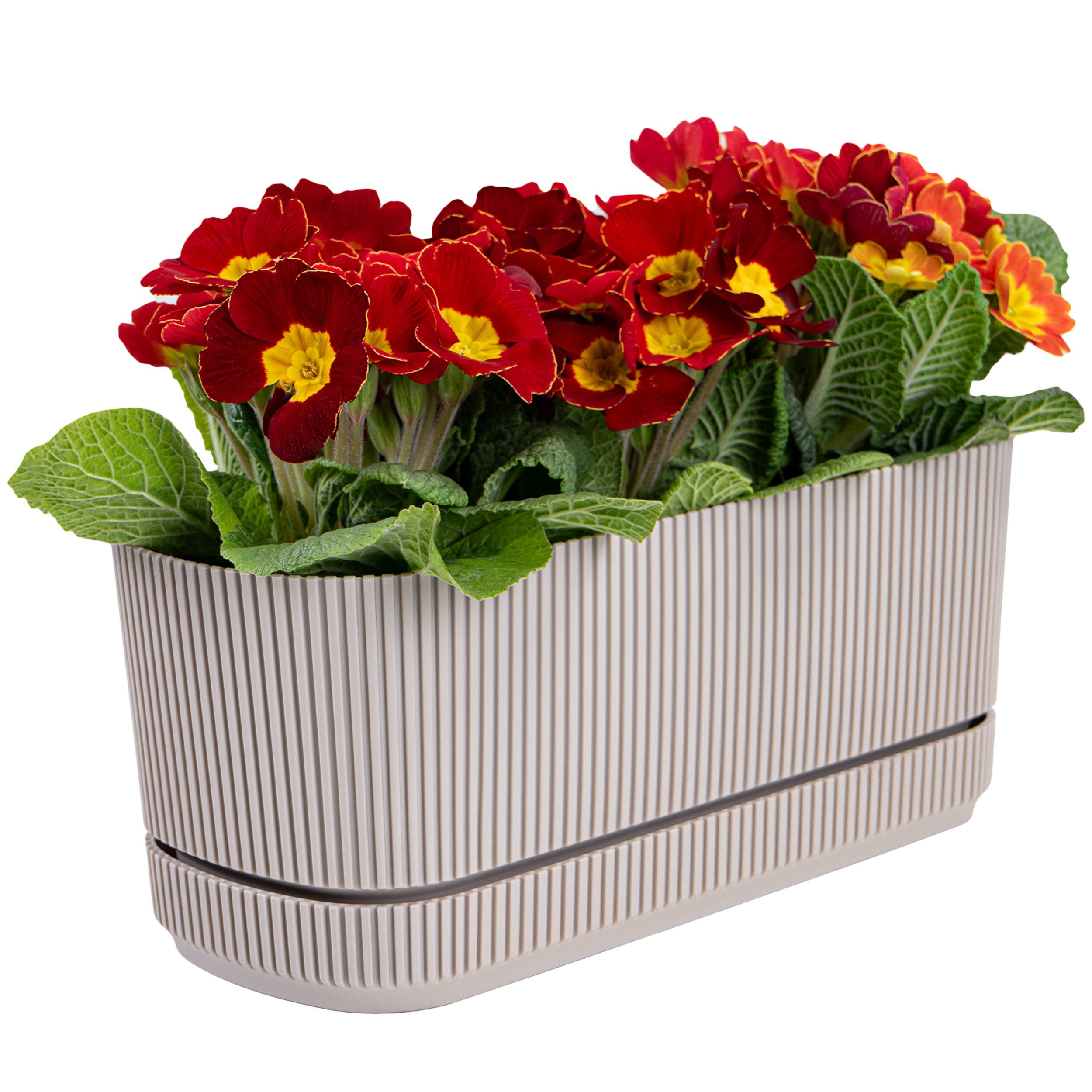 KONZEPT Balkonkasten für Balkon mit Untersetzer 3L Blumentopf Balkonkasten (frostbeständig, UV-beständig, wetterbeständig, pflegeleicht), gerippte Textur