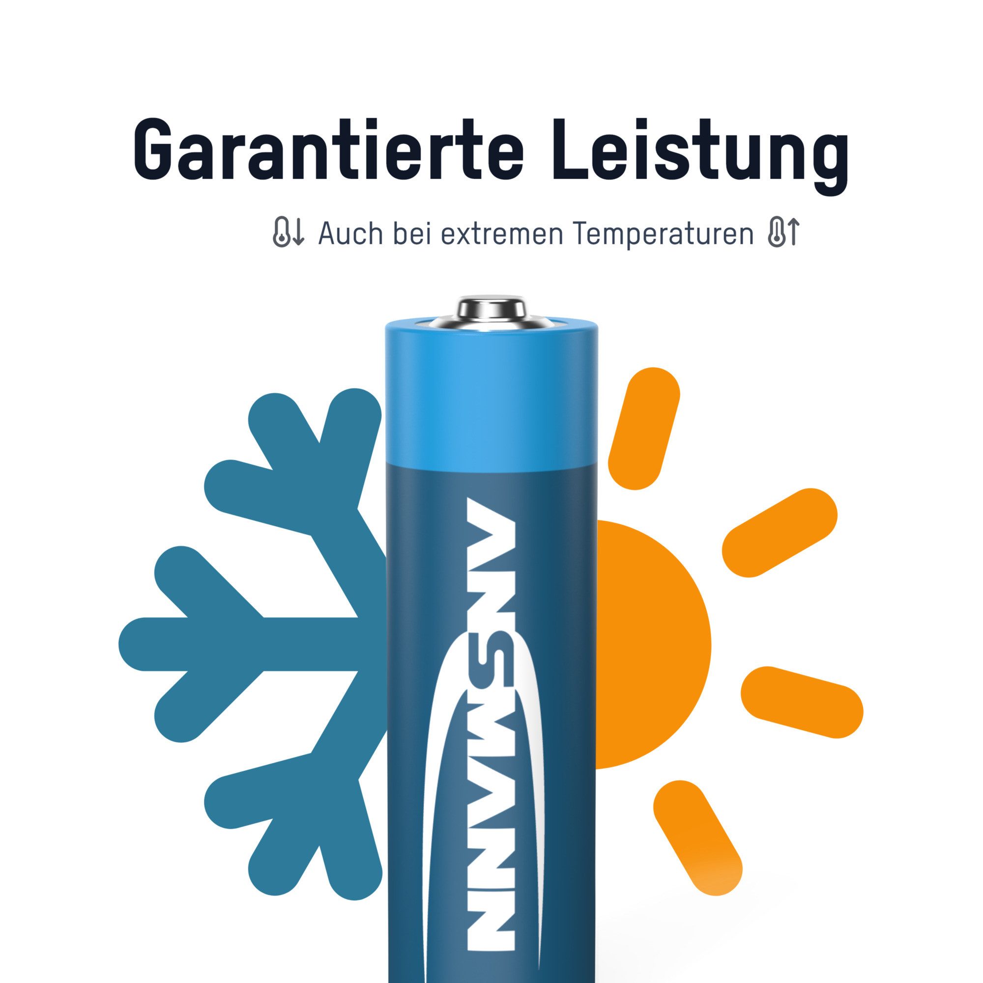 ANSMANN AG Lithium Batterie Mignon AA / FR6 2er Blister Batterie